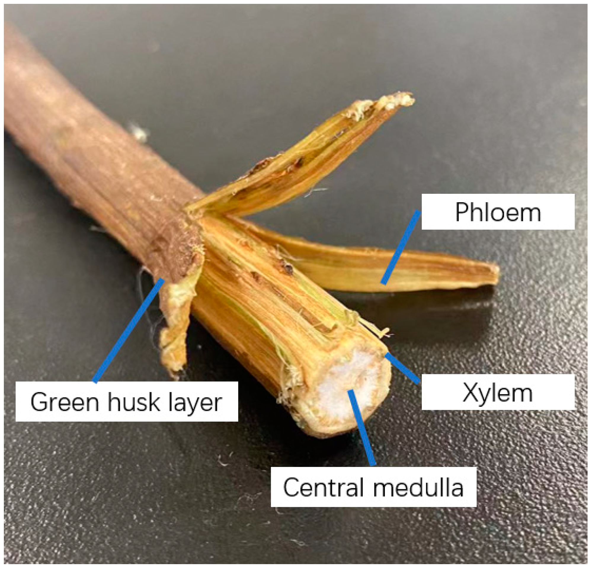 Agriculture Free FullText Calibration of Ramie Stalk Contact