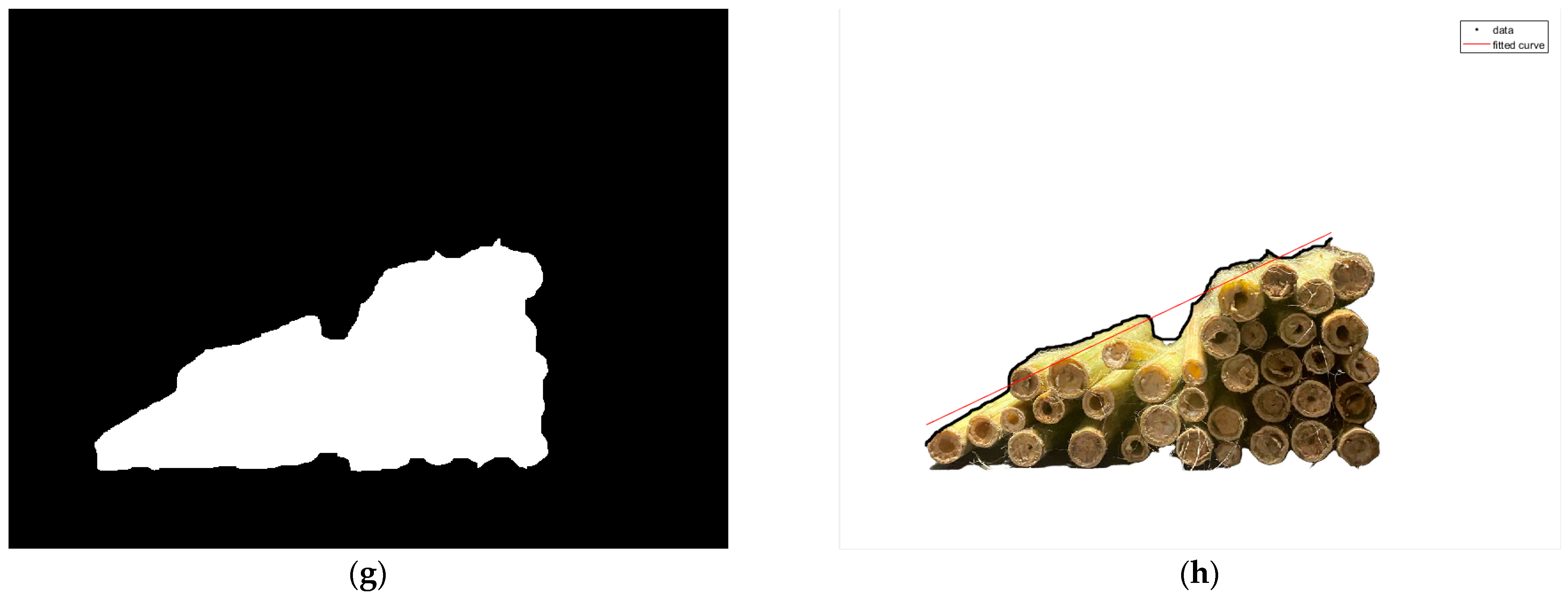 Agriculture 13 01070 g010b