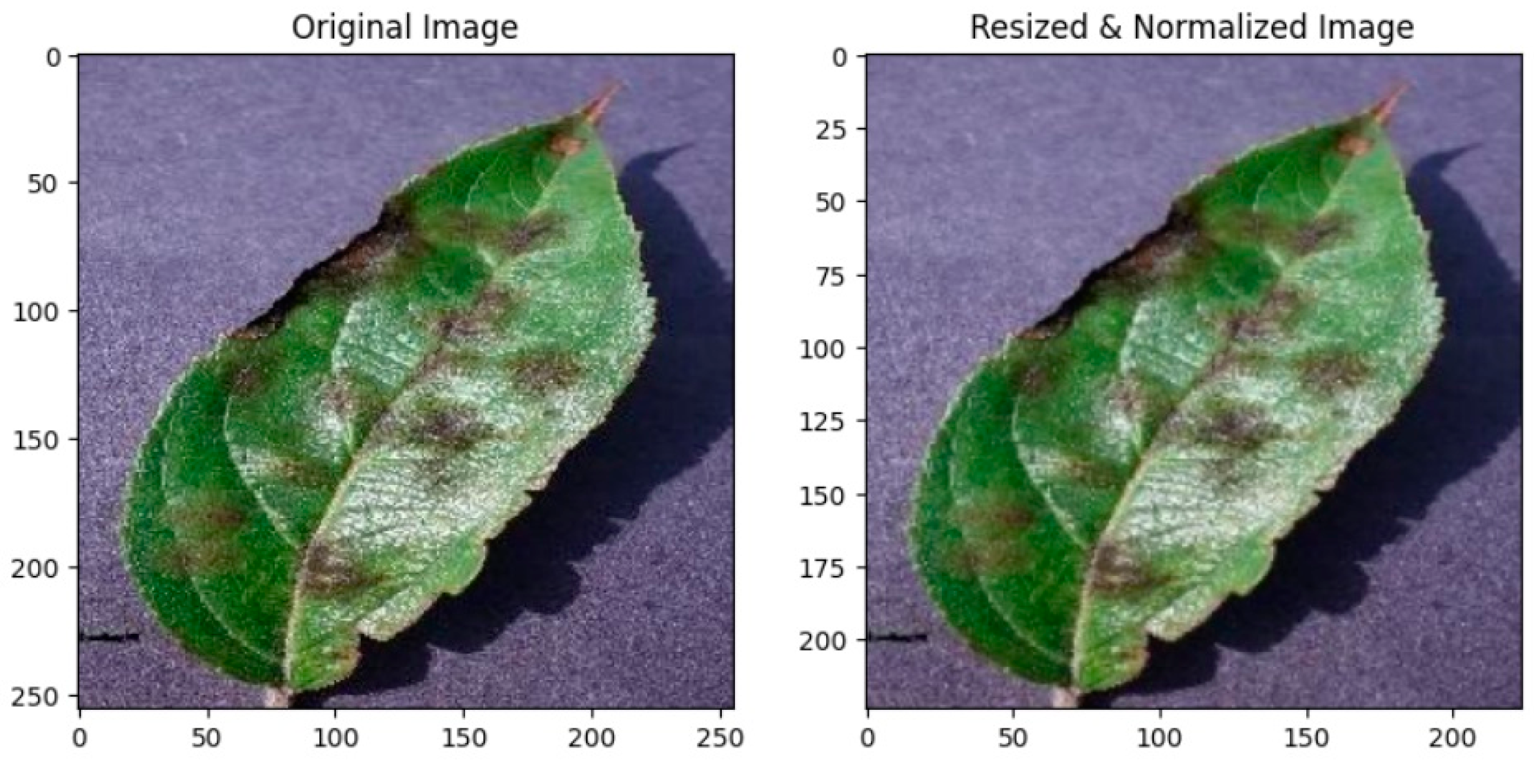 Agriculture 13 01072 g001