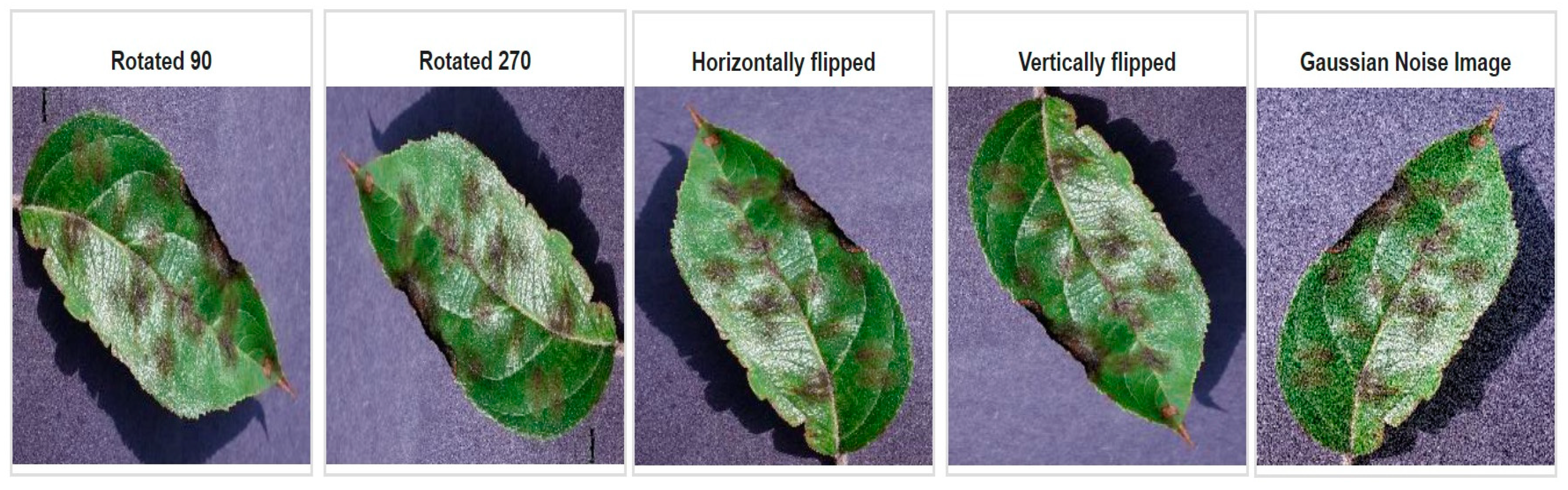 Agriculture 13 01072 g002