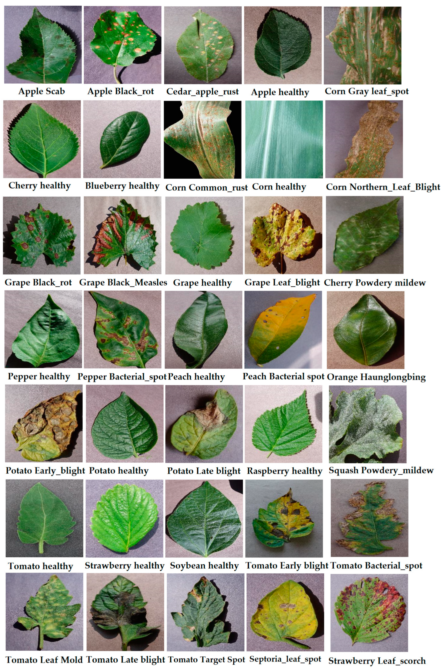 Agriculture 13 01072 g004