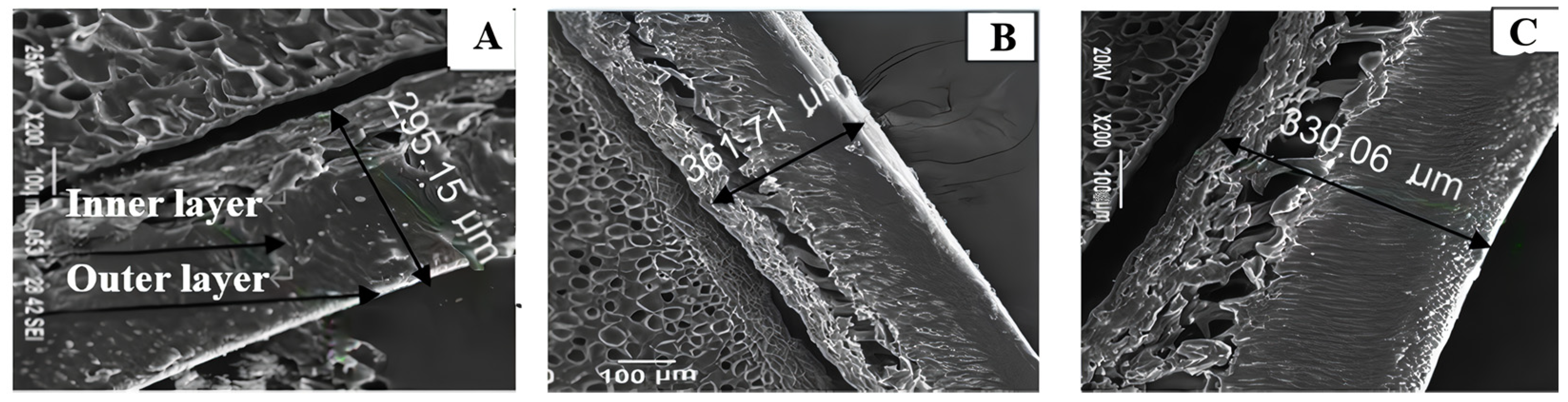 Agriculture 13 01077 g003