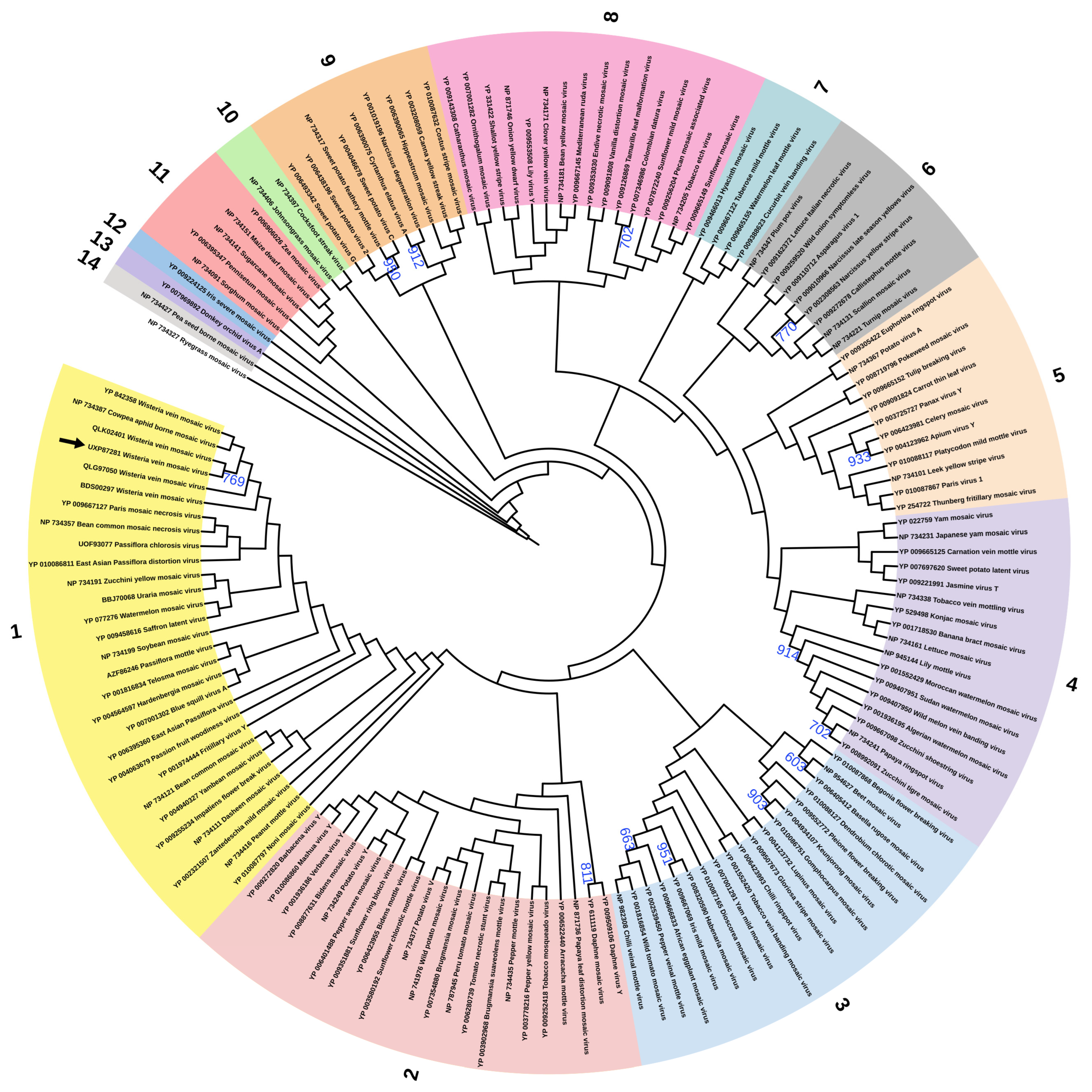 Agriculture 13 01090 g003 Agriculture 13 01090 g003