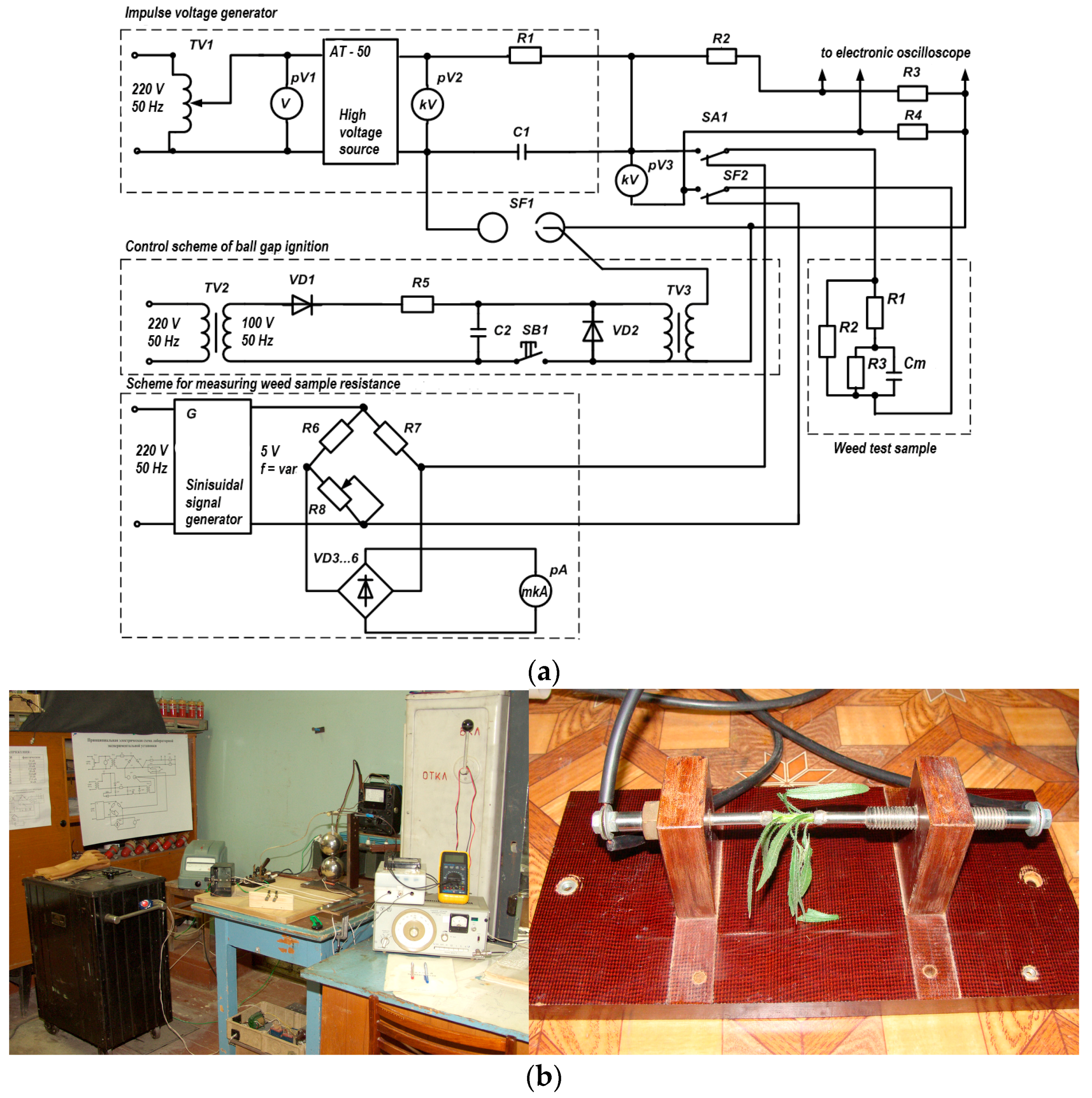 Agriculture 13 01099 g001