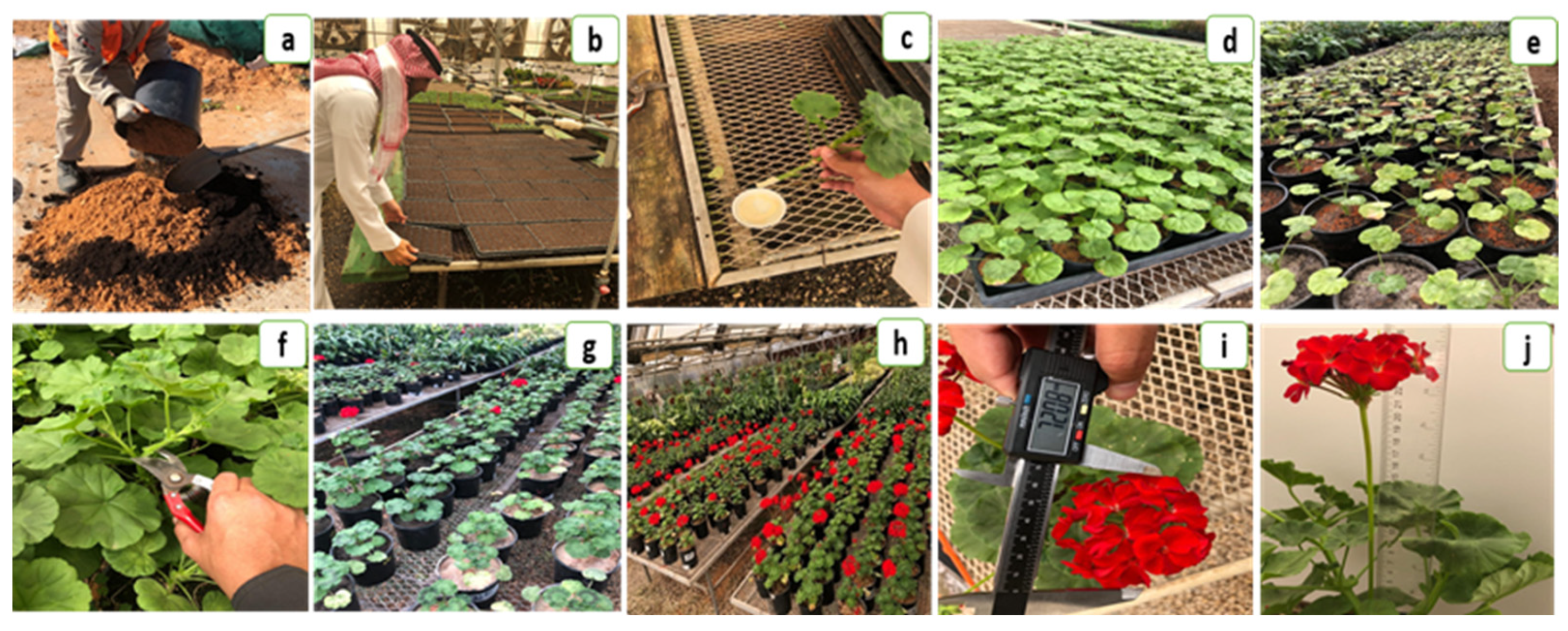 Agriculture 13 01106 g001 Agriculture 13 01106 g001