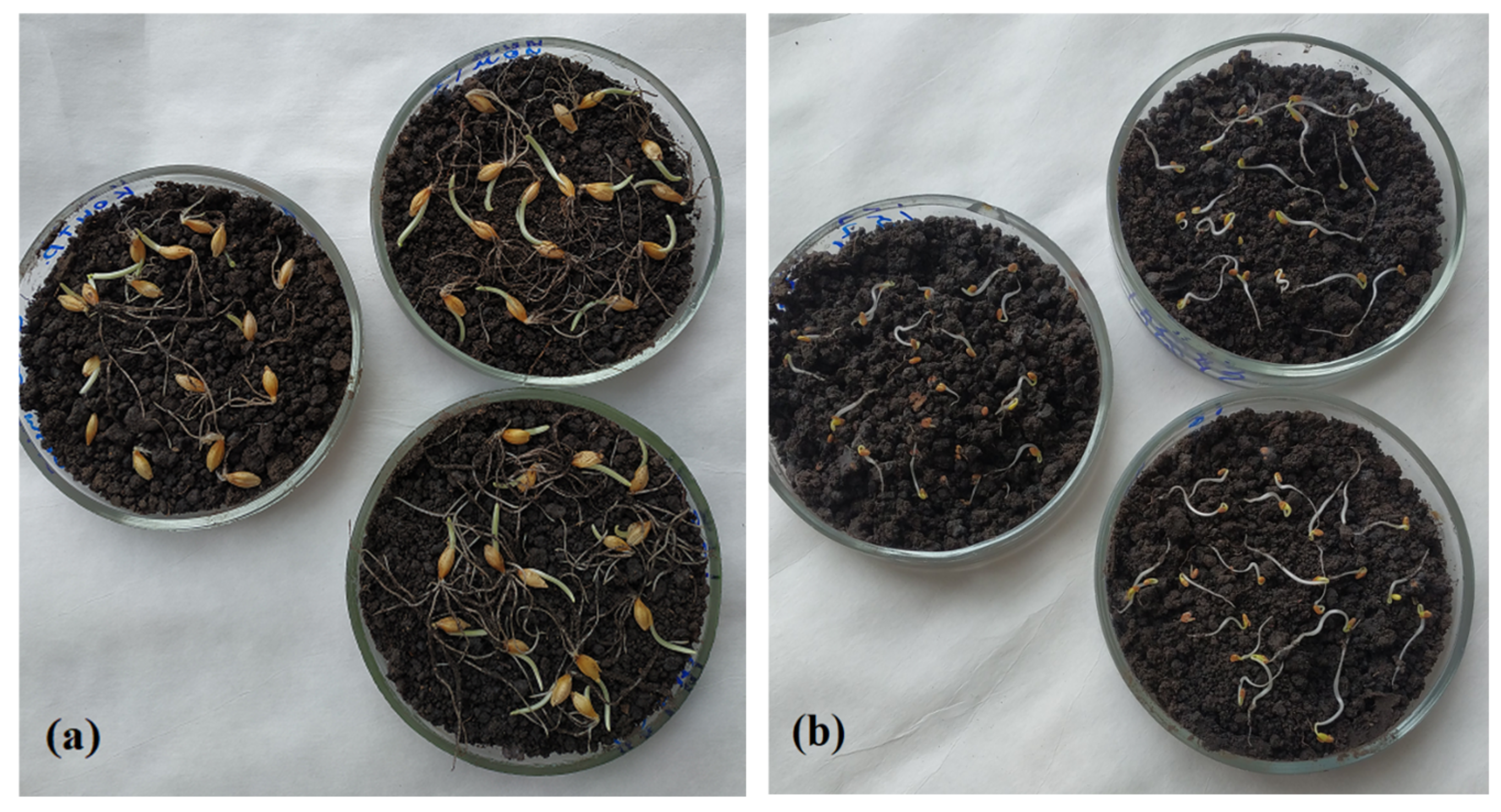 Agriculture 13 01111 g004 Agriculture 13 01111 g004