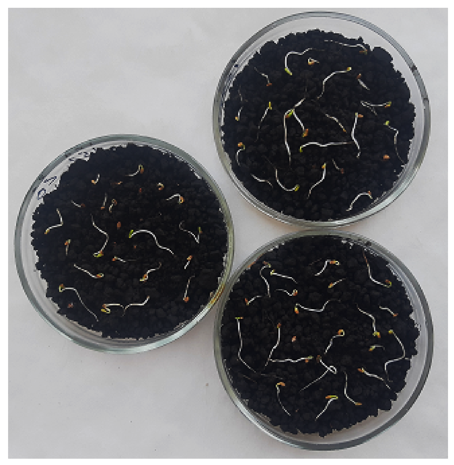 Agriculture 13 01111 g006 Agriculture 13 01111 g006