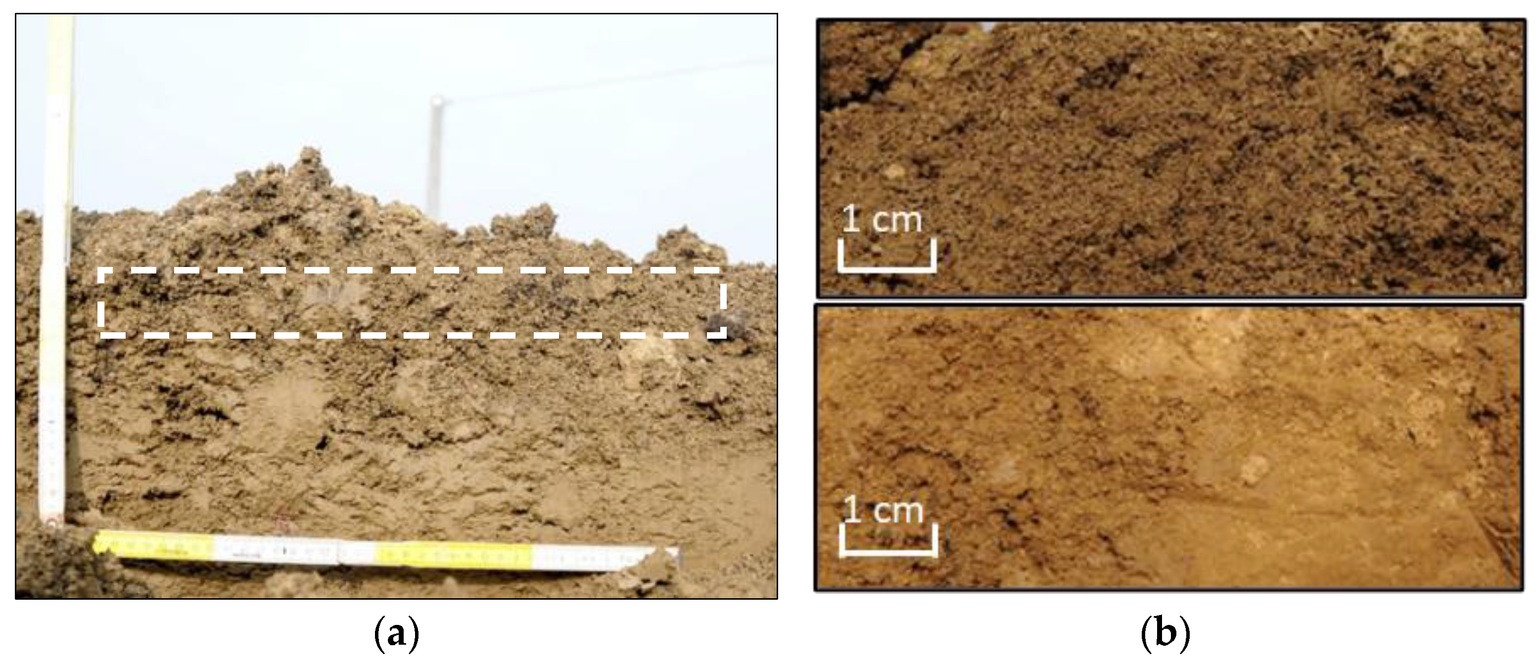 Agriculture 13 01113 g001