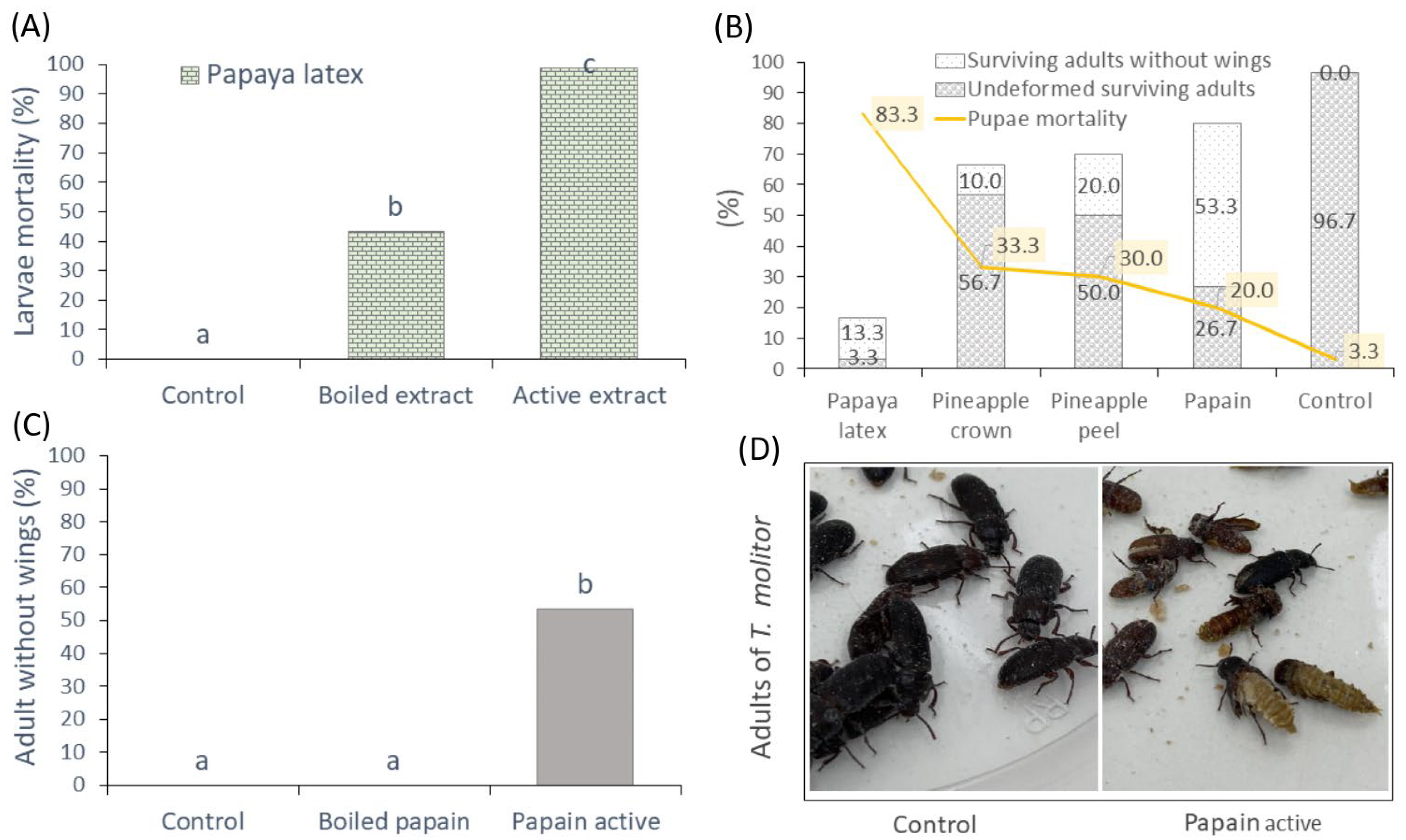Agriculture 13 01119 g004 Agriculture 13 01119 g004