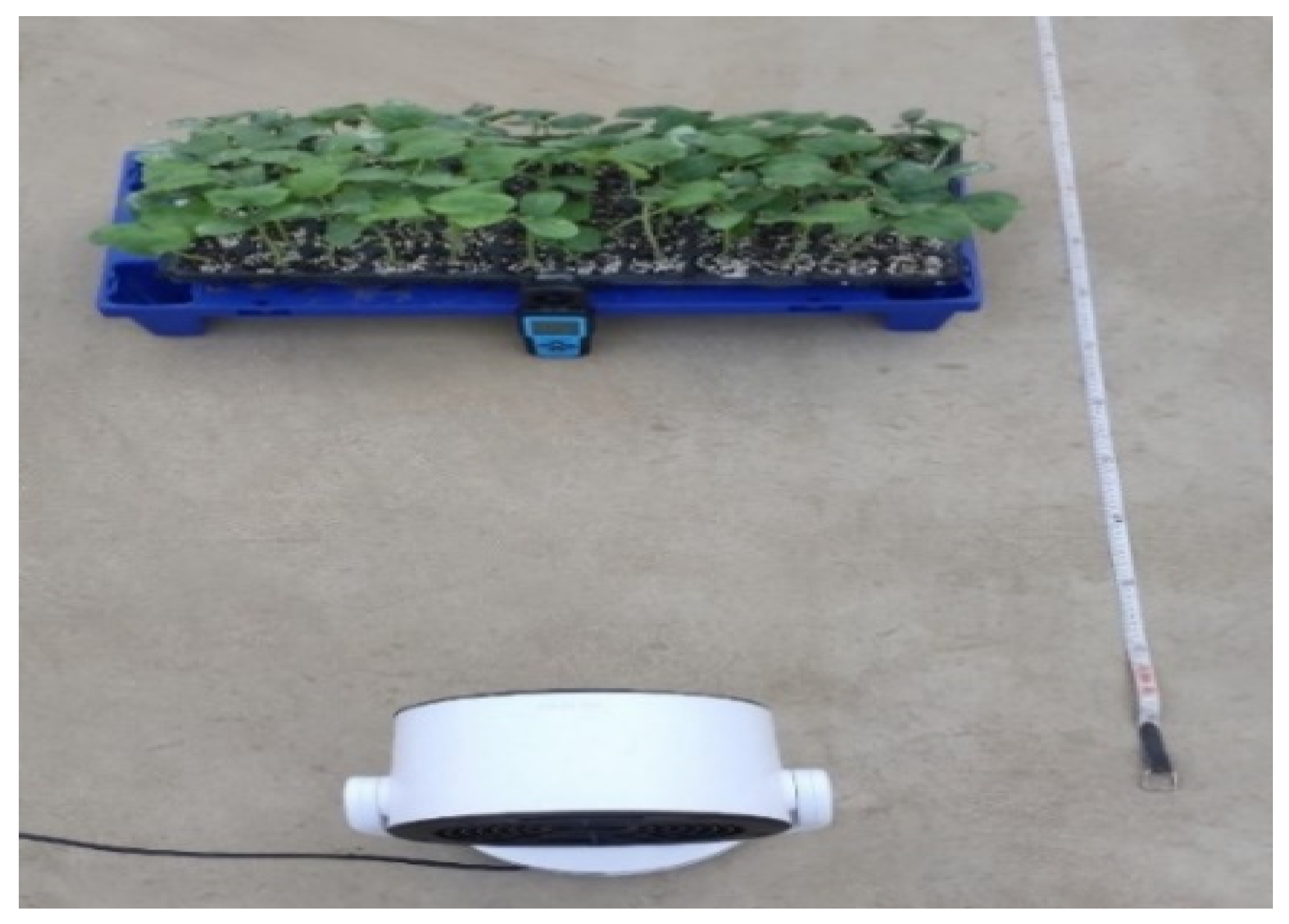 Agriculture 13 01125 g001