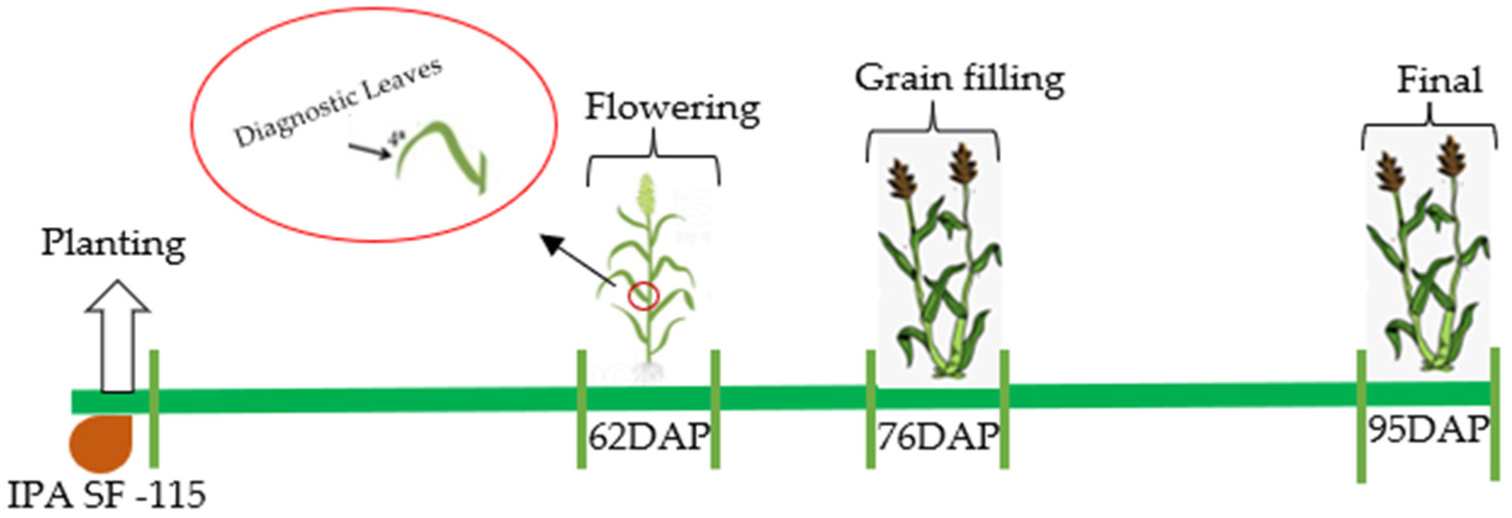 Agriculture 13 01127 g002 Agriculture 13 01127 g002