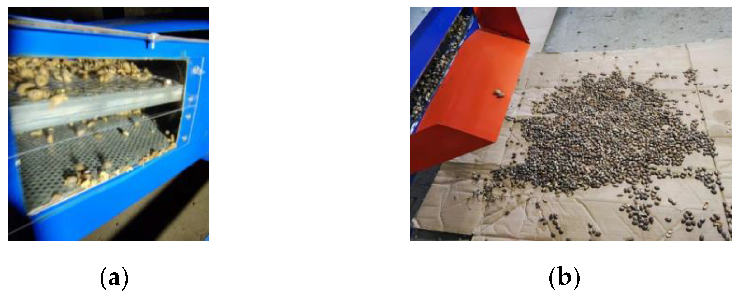 Agriculture 13 01130 g026