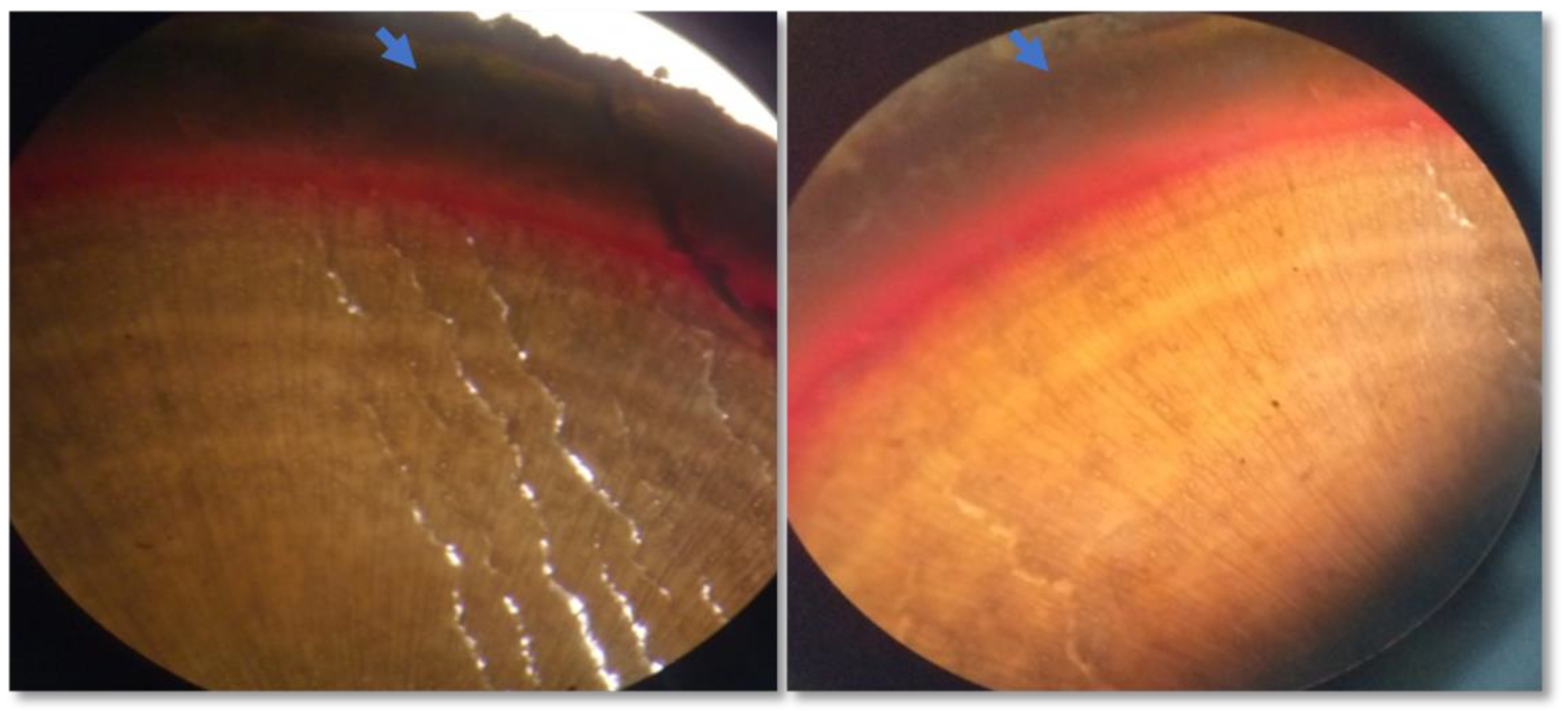 Agriculture 13 01137 g001 Agriculture 13 01137 g001