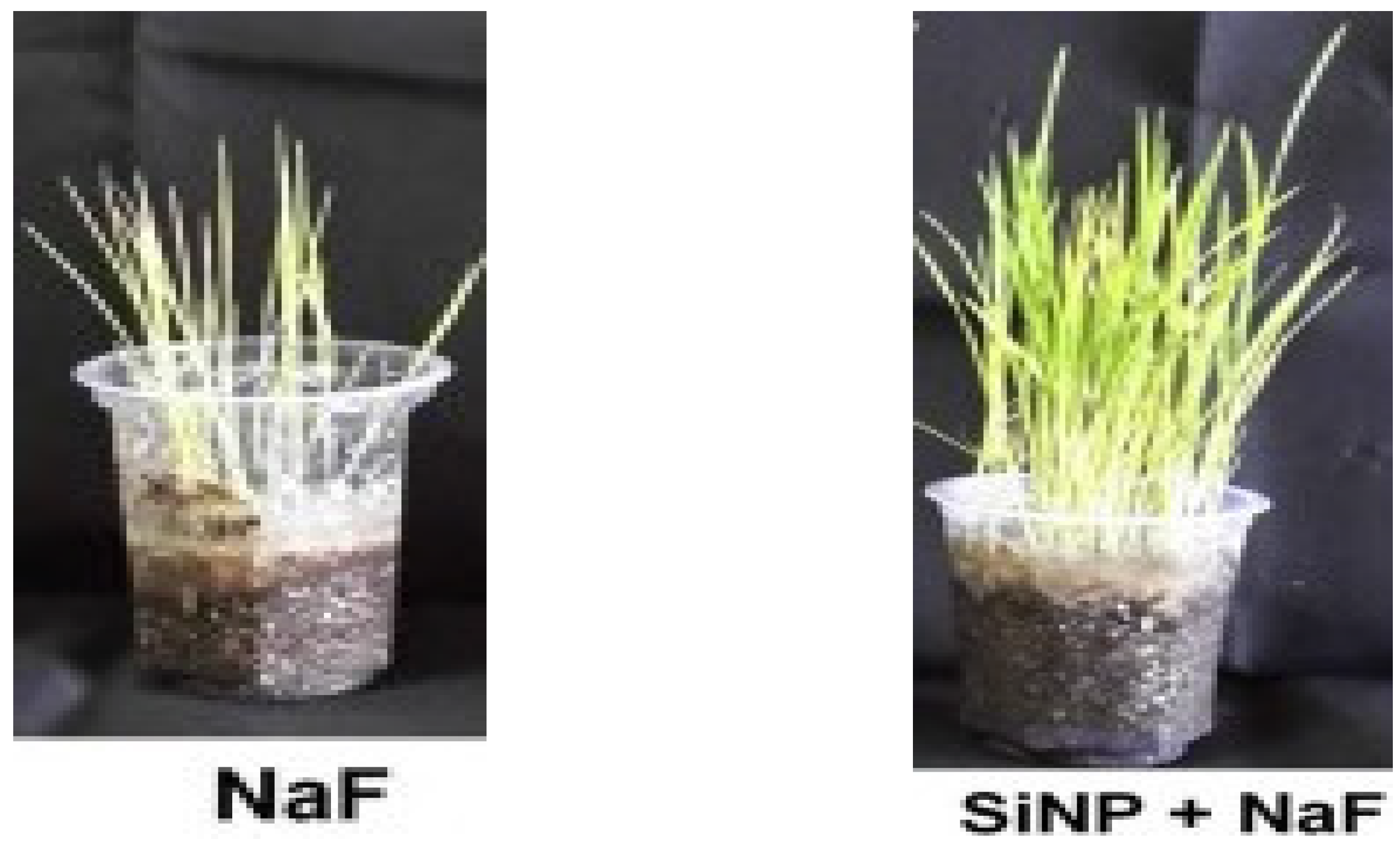 Agriculture 13 01144 g004 Agriculture 13 01144 g004