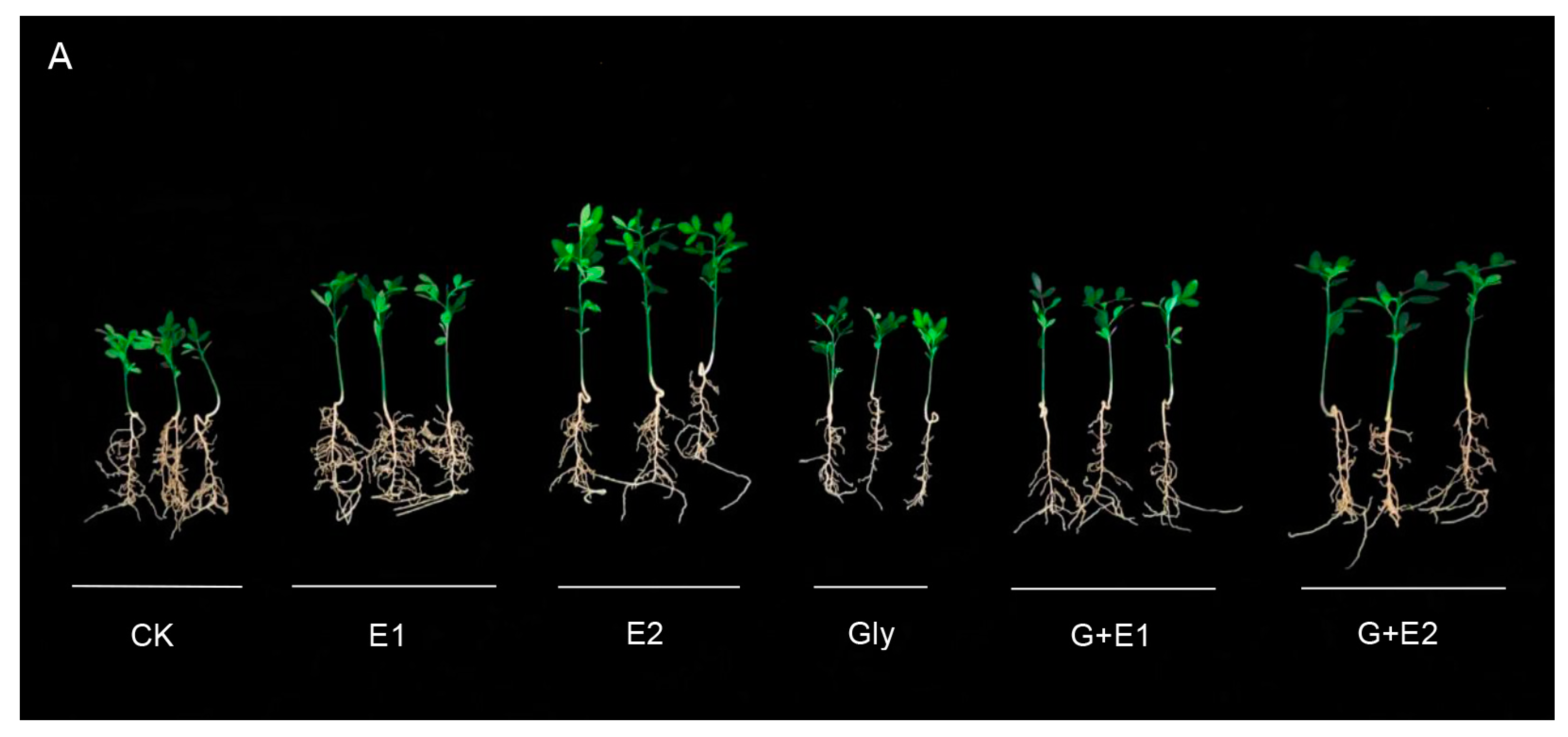 Agriculture 13 01148 g001a Agriculture 13 01148 g001a