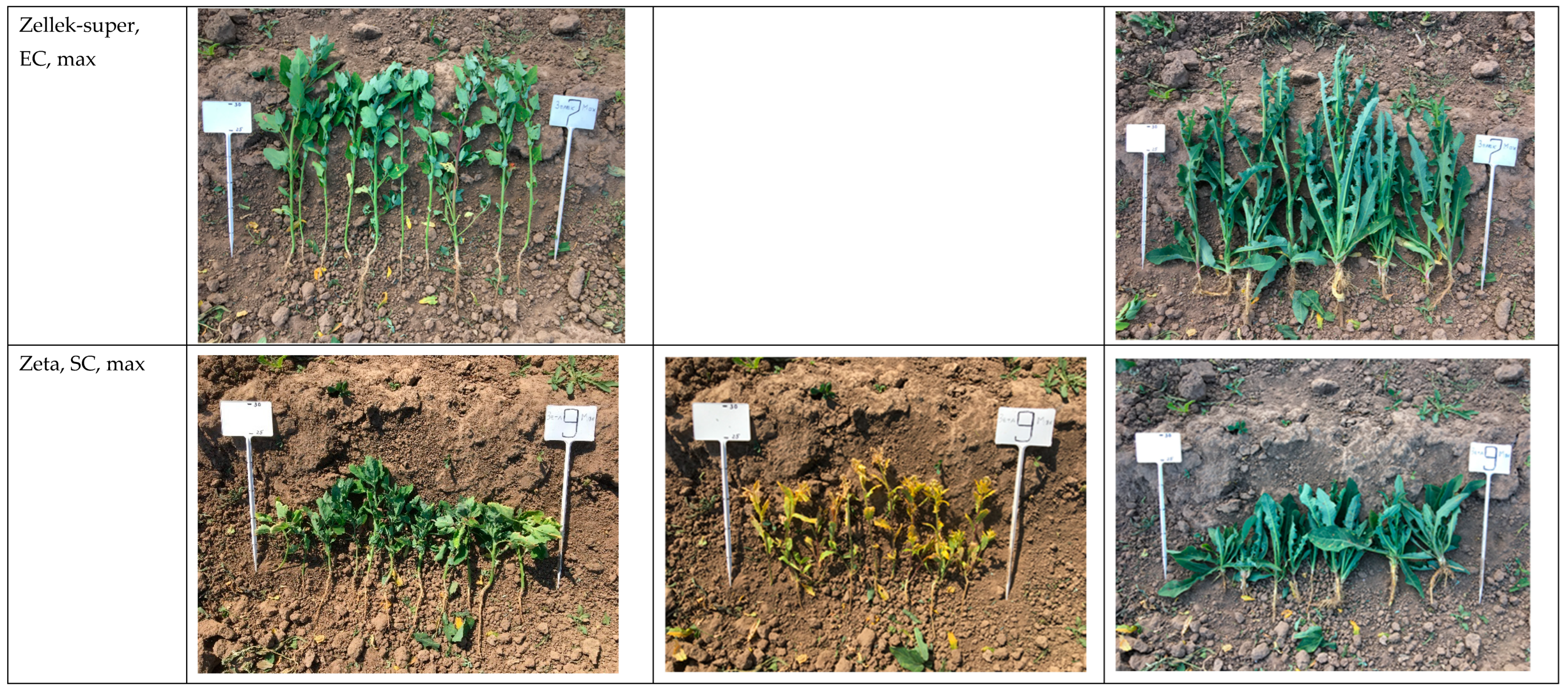 Agriculture 13 01152 g007b