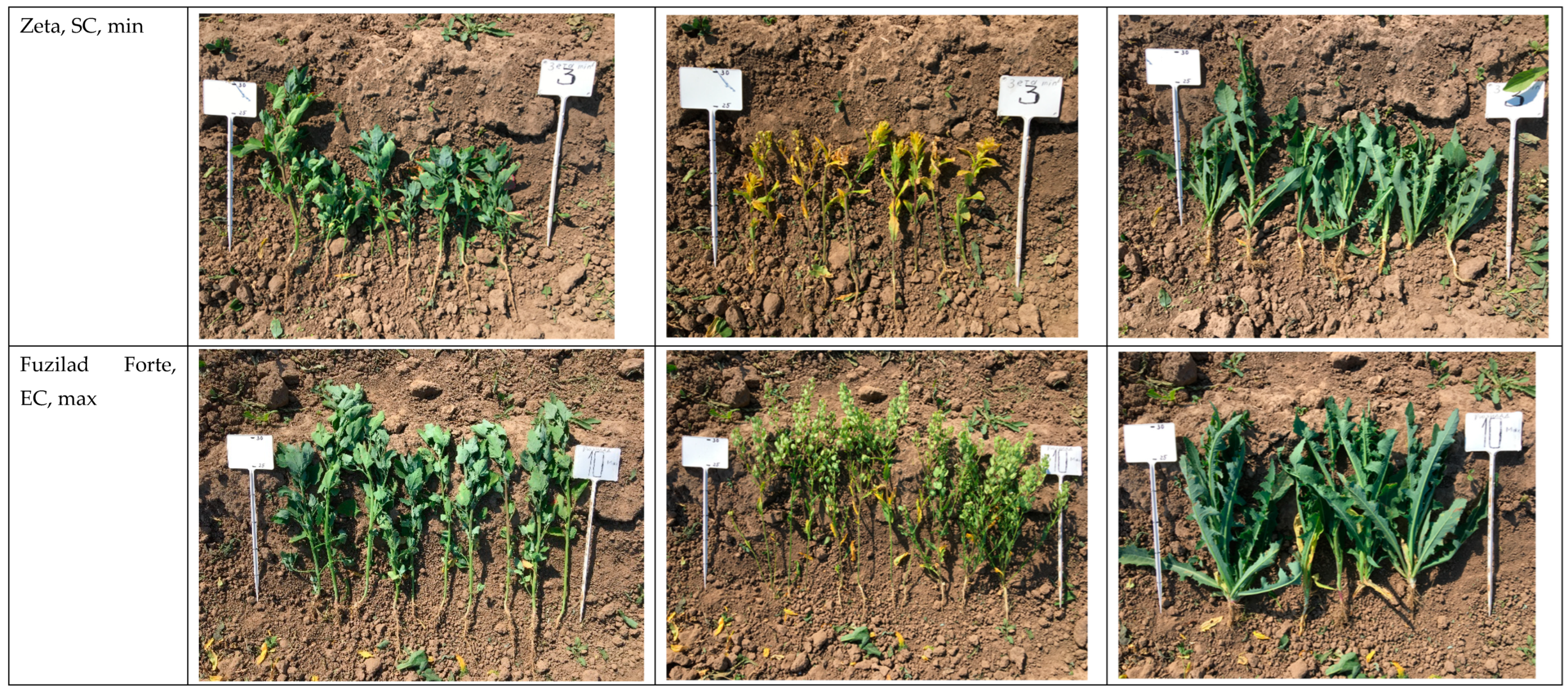 Agriculture 13 01152 g007c