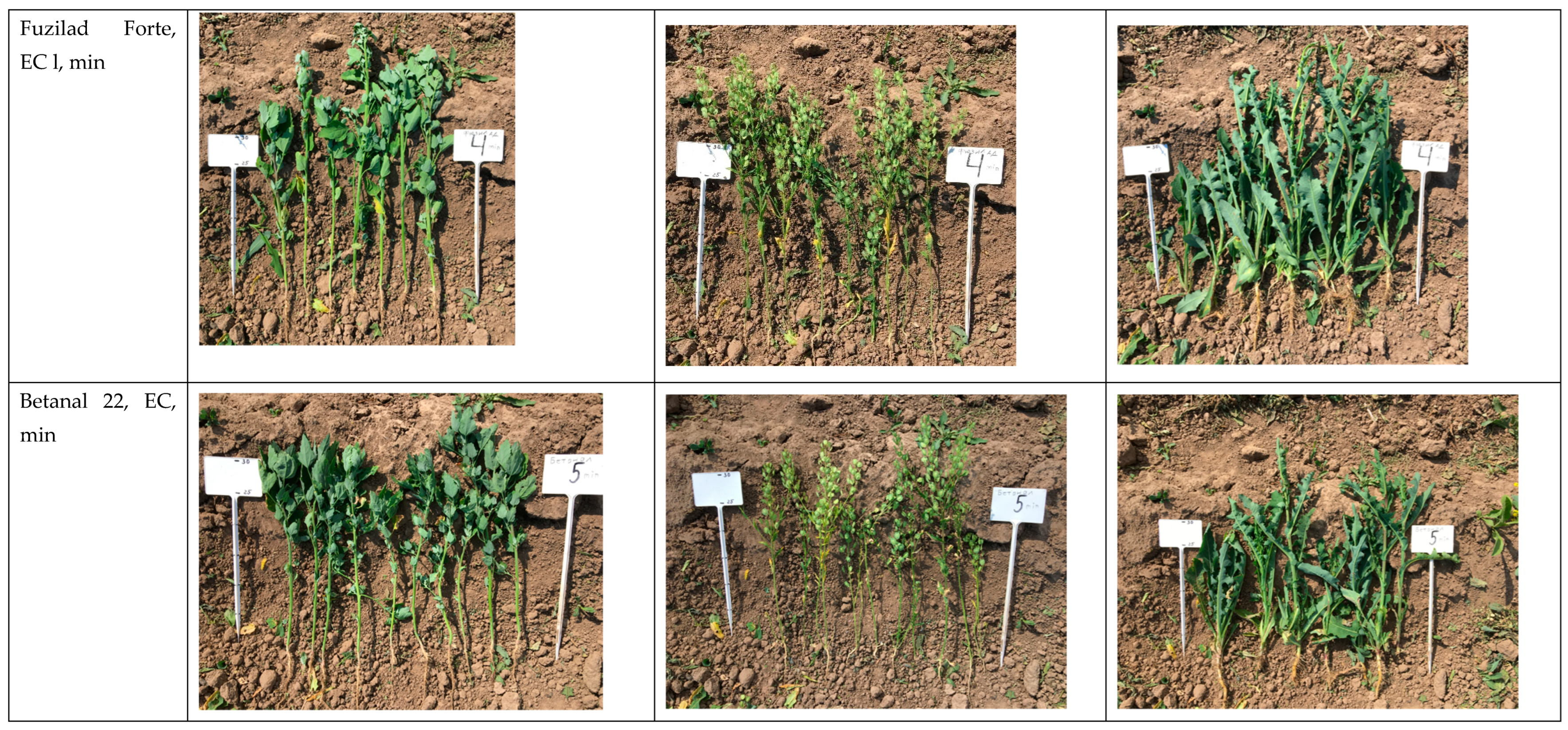 Agriculture 13 01152 g007d