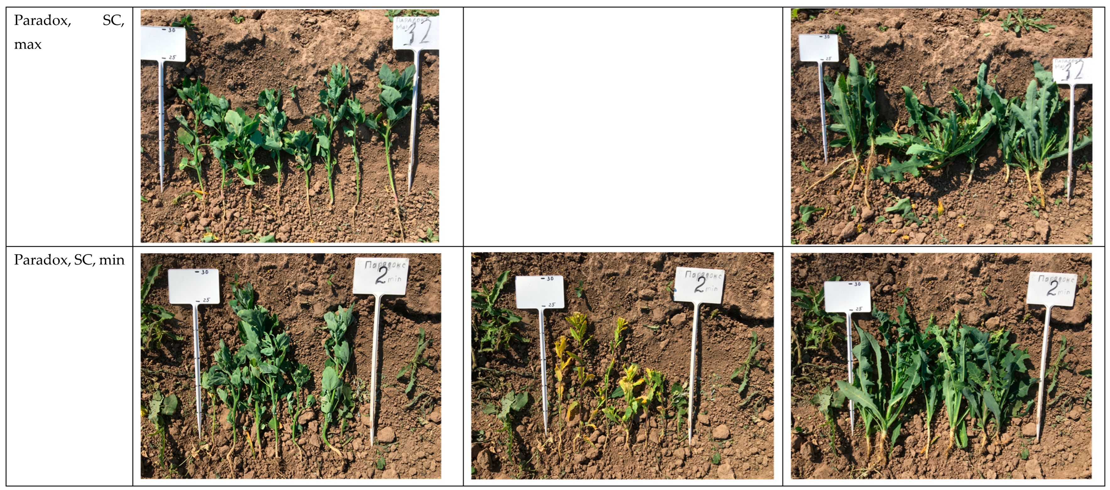 Agriculture 13 01152 g007e