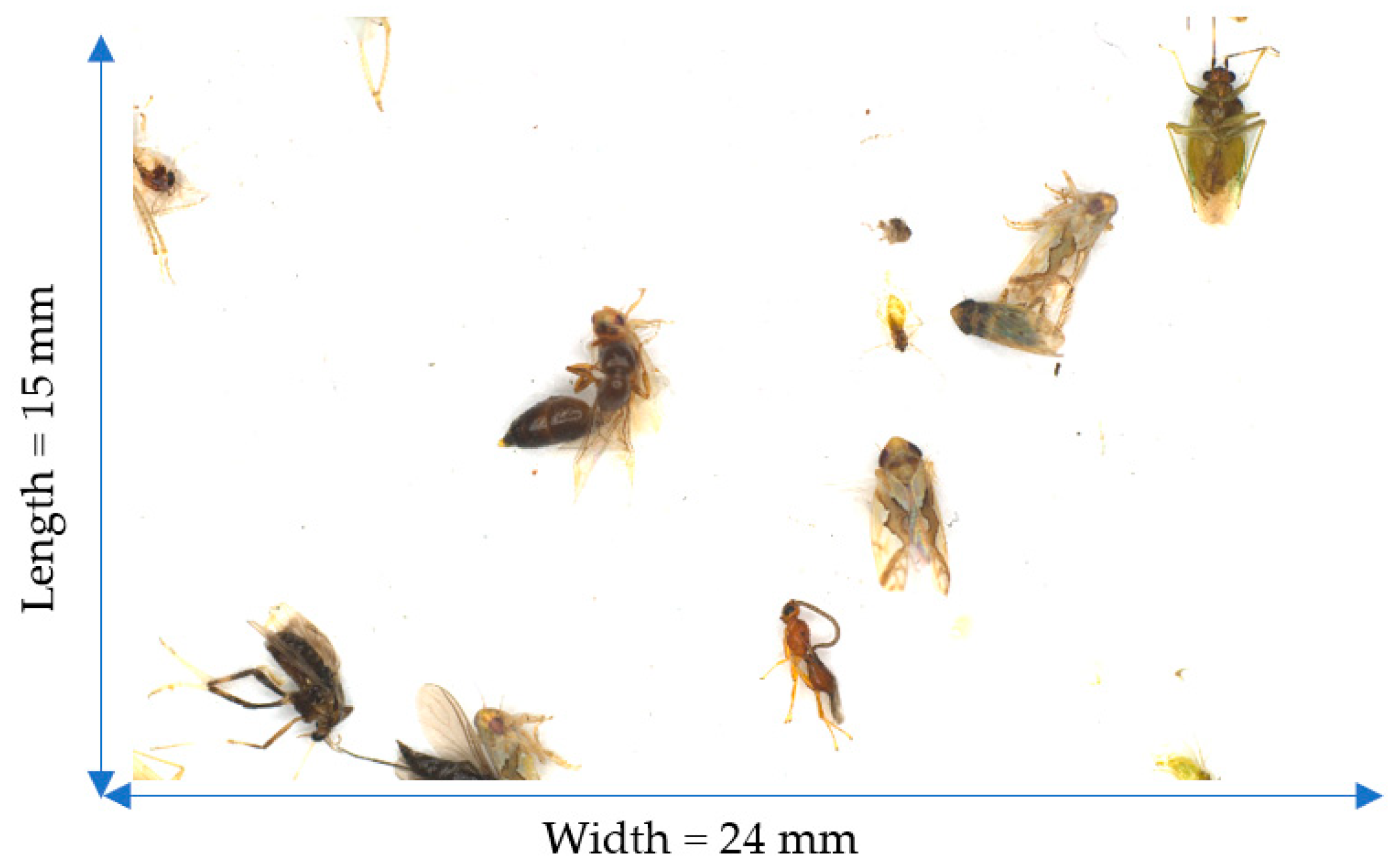 Agriculture 13 01155 g004