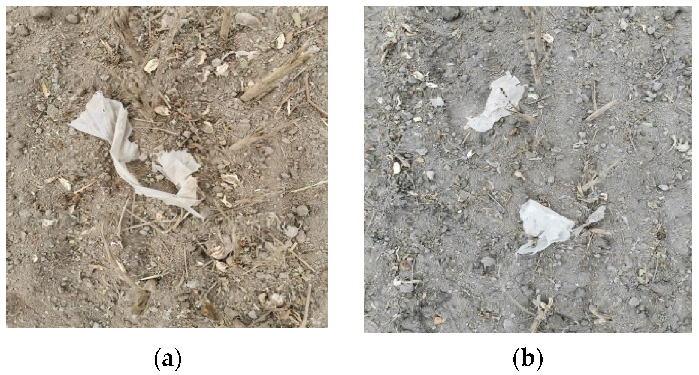 Agriculture 13 01158 g001 Agriculture 13 01158 g001