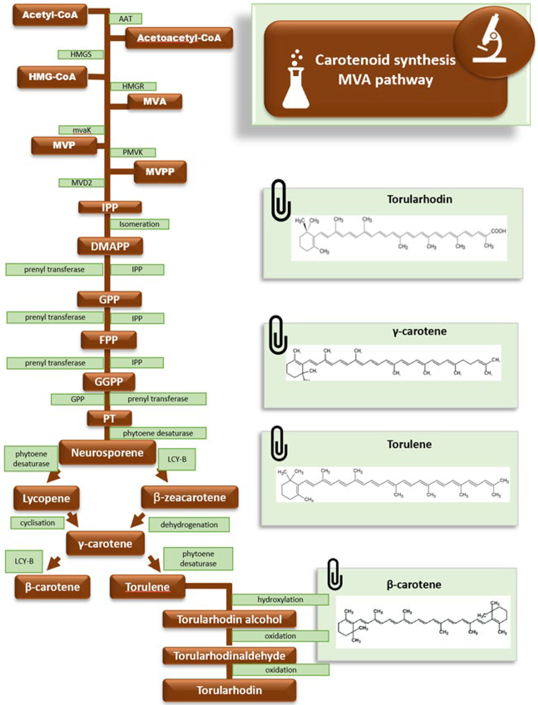 Agriculture 13 01159 g002