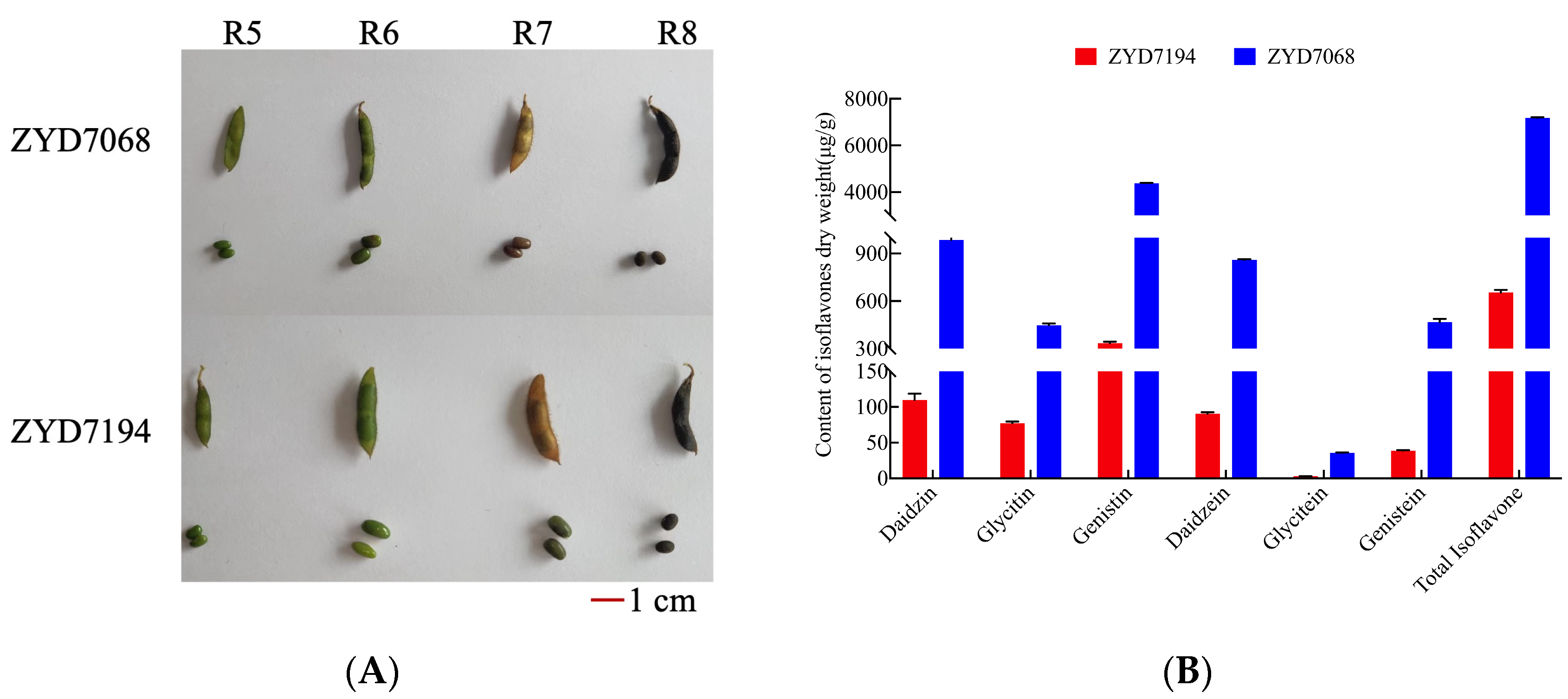 Agriculture 13 01164 g001