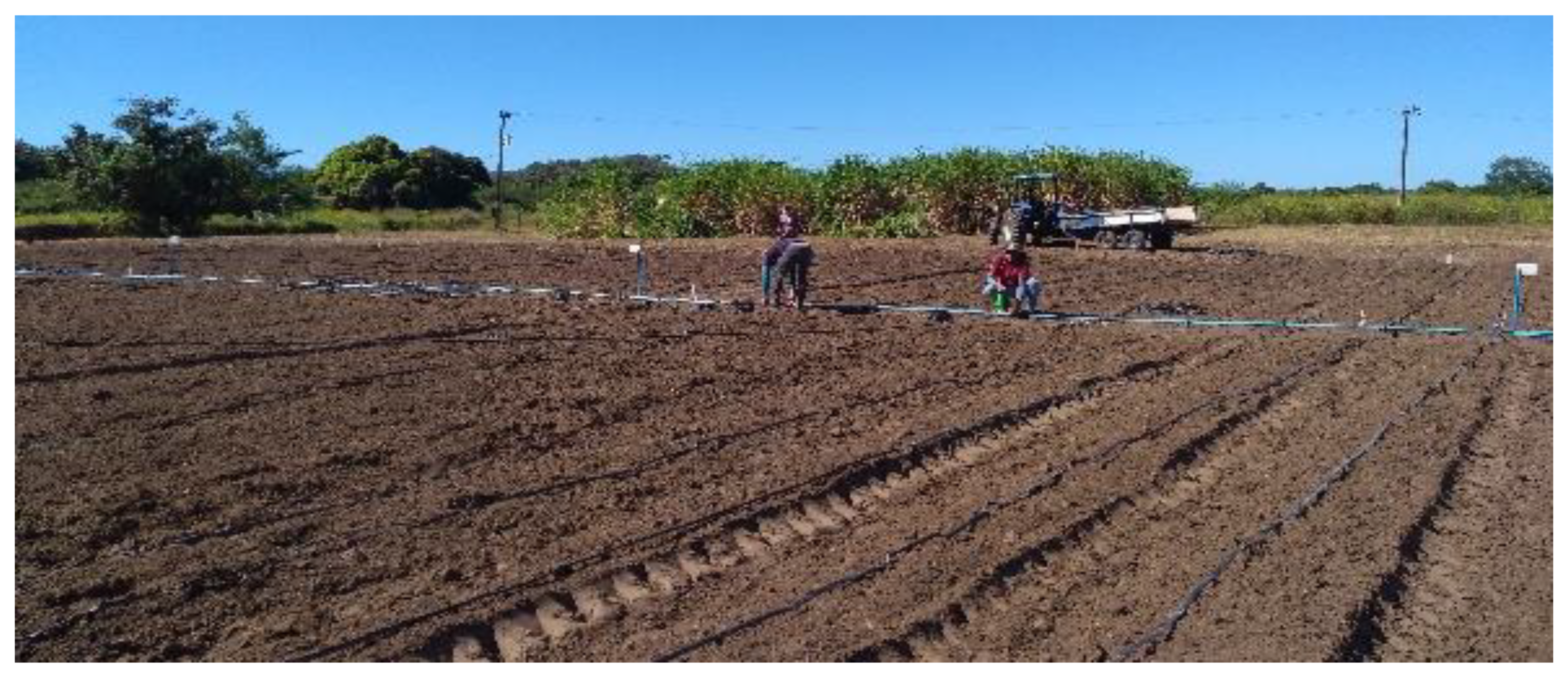 Agriculture 13 01169 g0a2 Agriculture 13 01169 g0a2