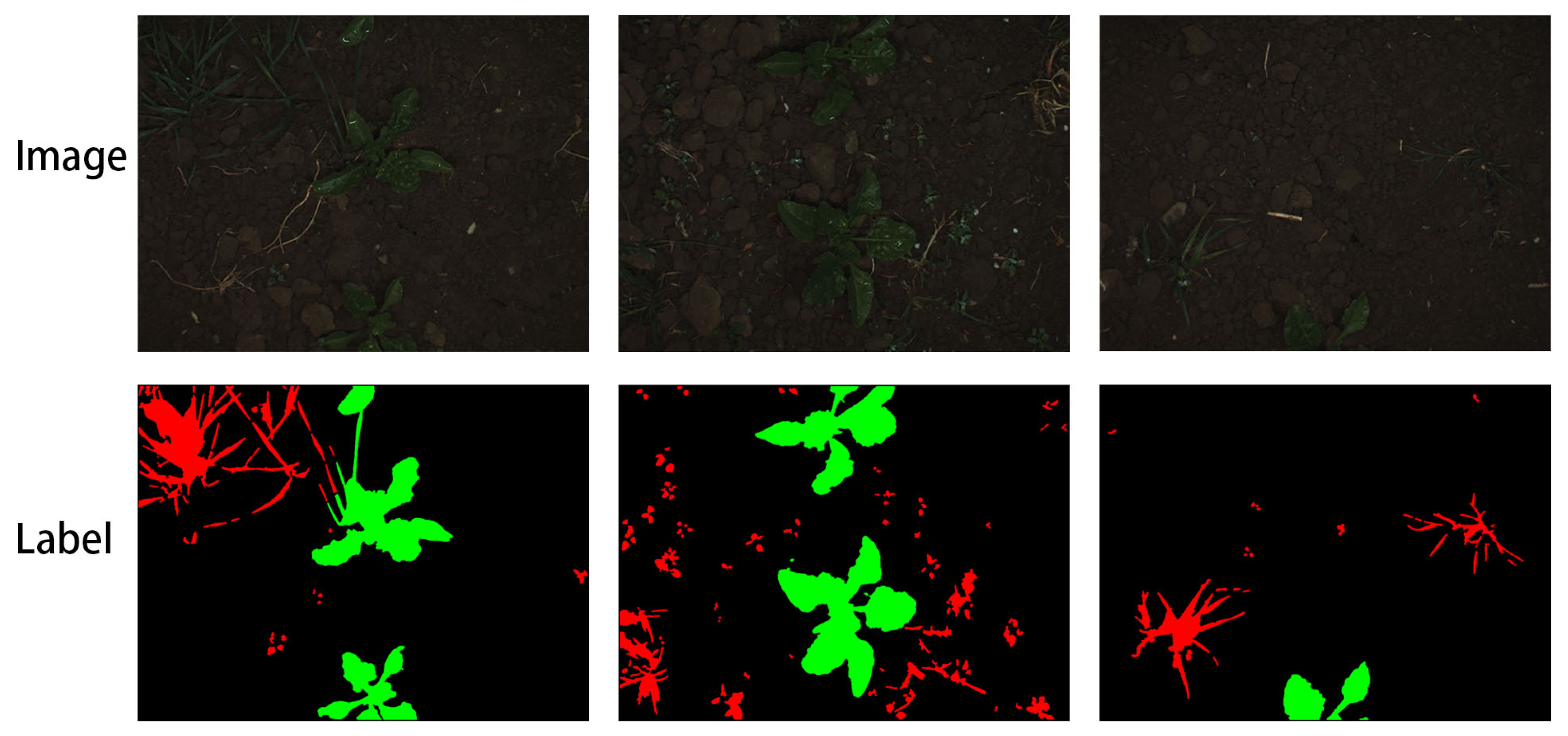 Agriculture 13 01176 g002 Agriculture 13 01176 g002