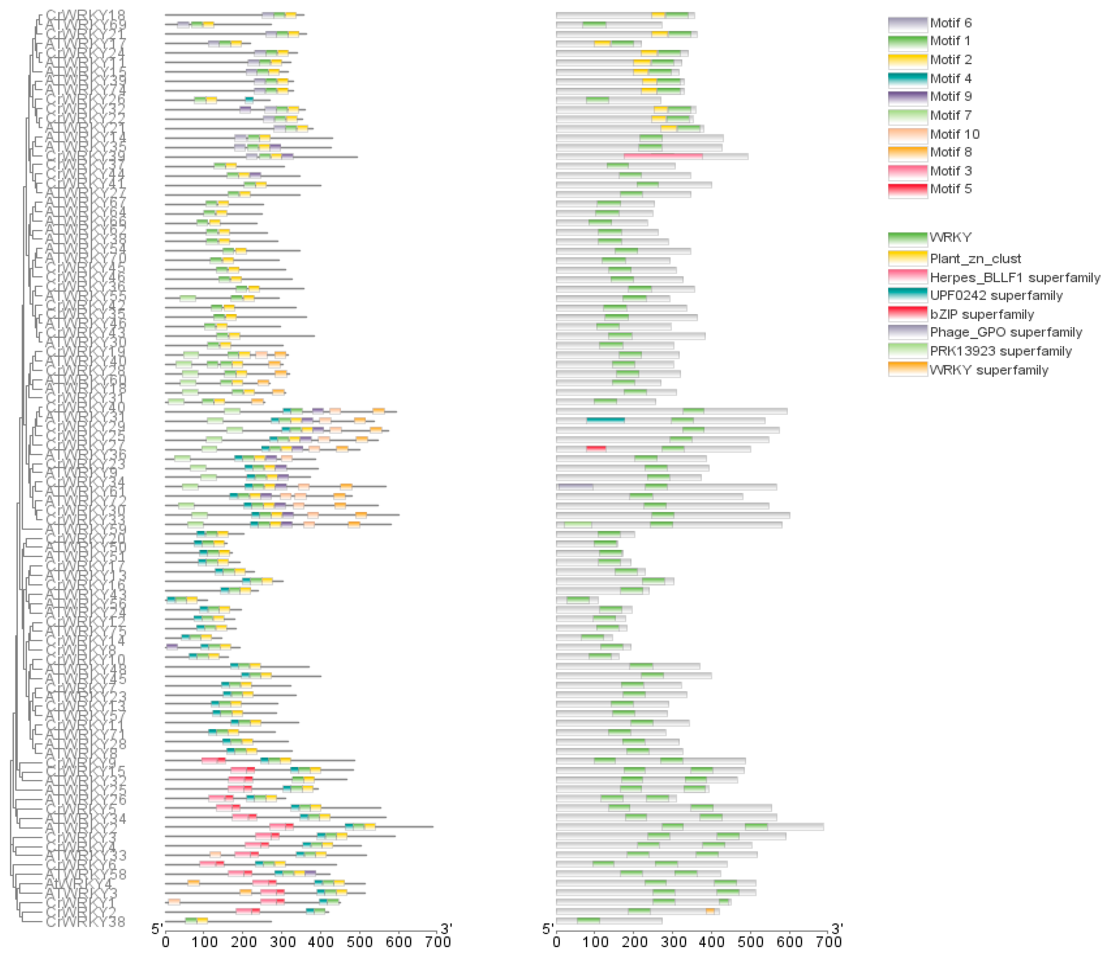 Agriculture 13 01182 g003 Agriculture 13 01182 g003
