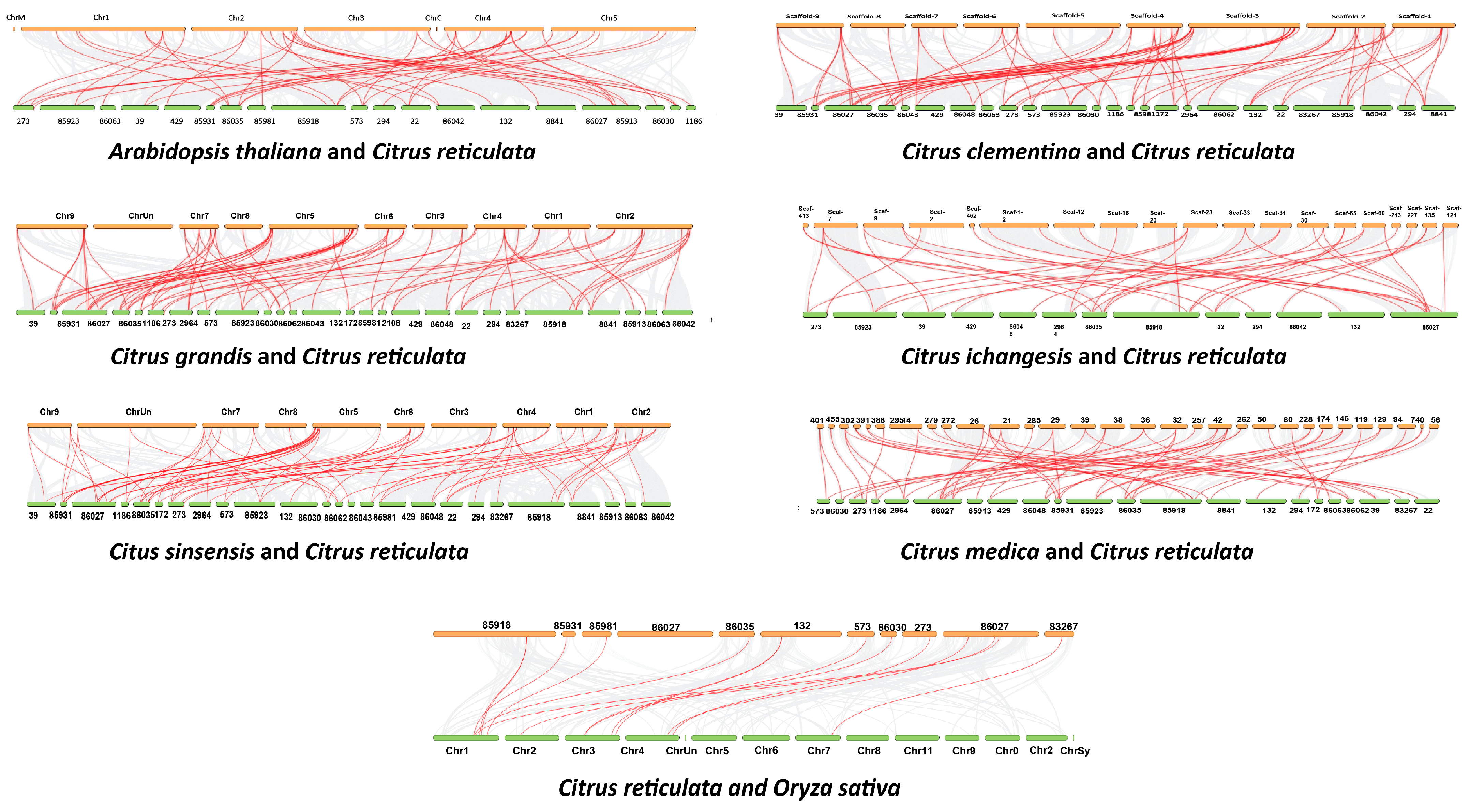 Agriculture 13 01182 g004 Agriculture 13 01182 g004