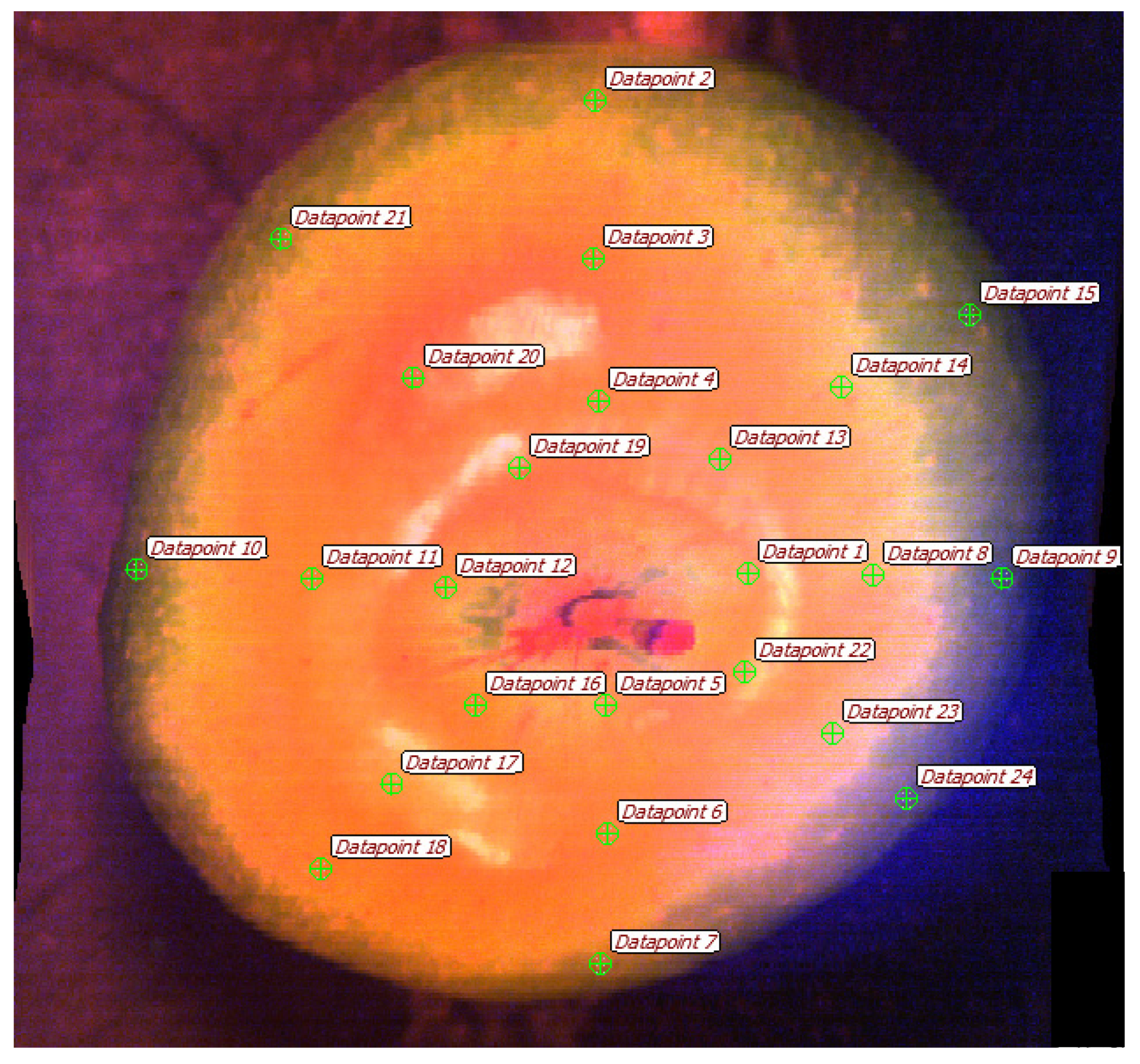 Agriculture 13 01188 g022