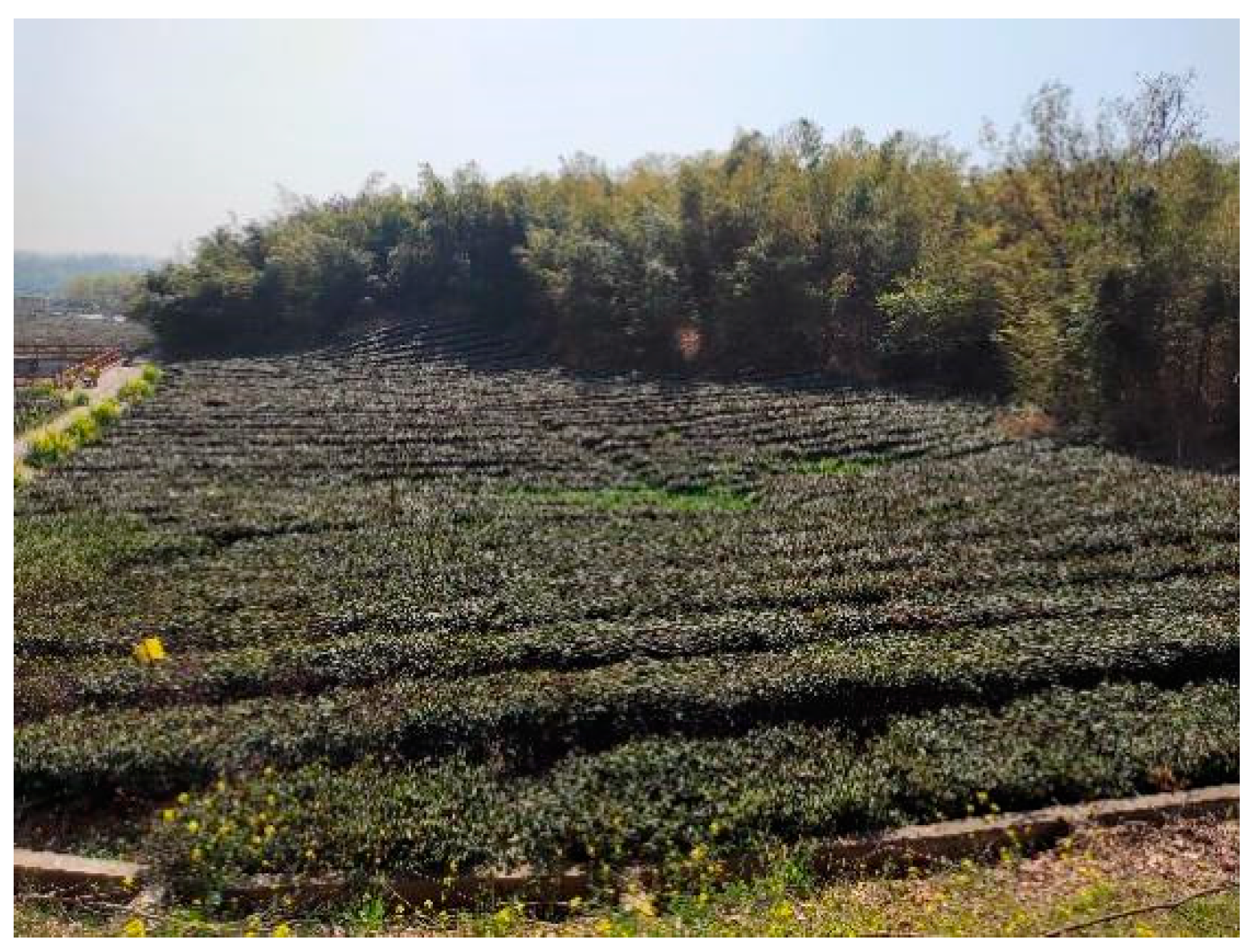 Agriculture 13 01190 g002