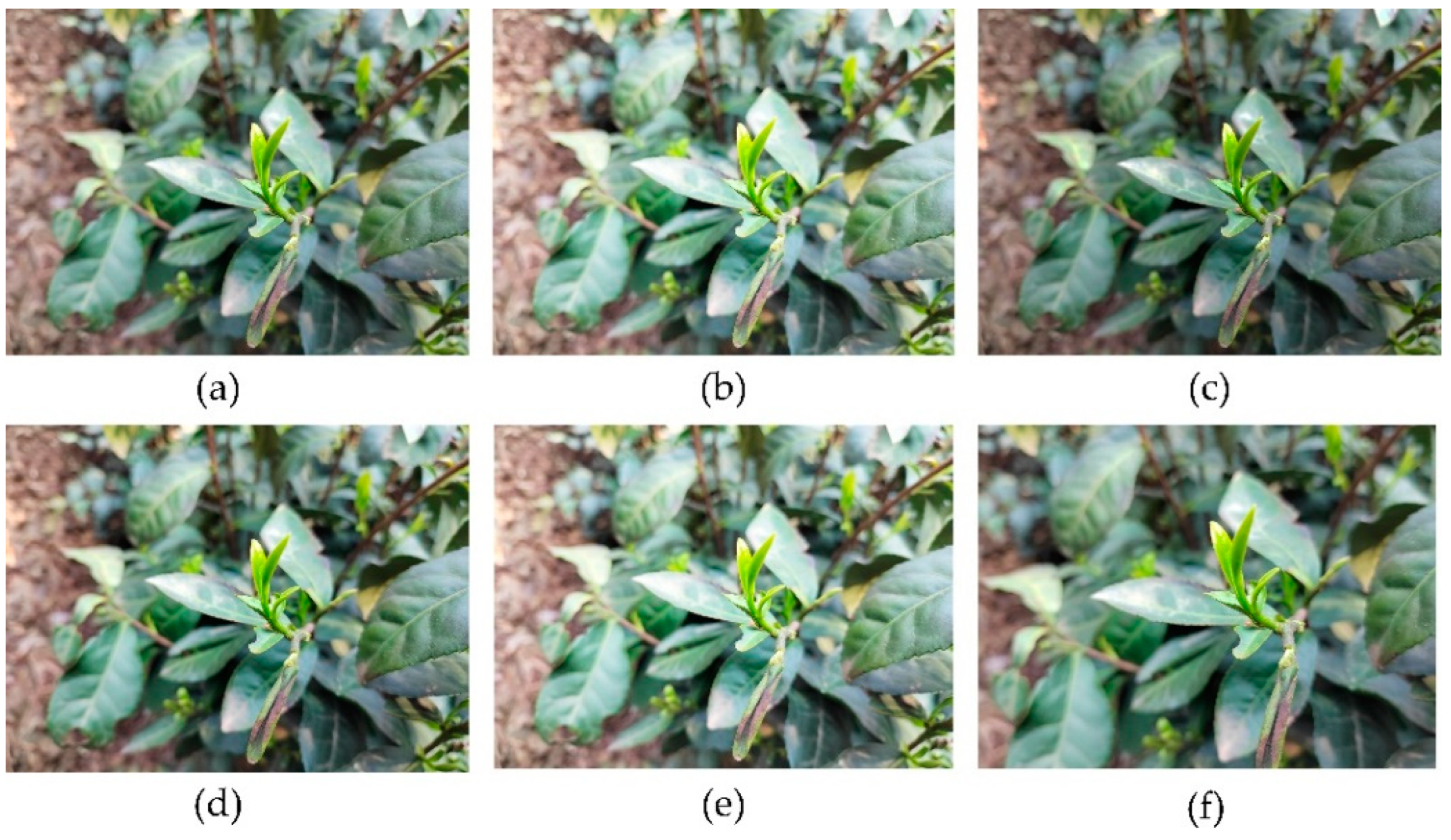 Agriculture 13 01190 g004