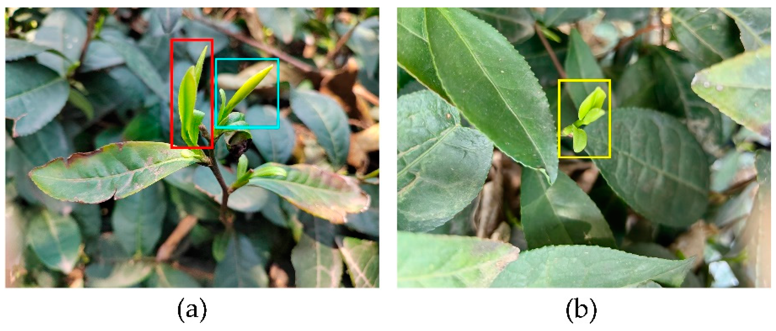 Agriculture 13 01190 g006