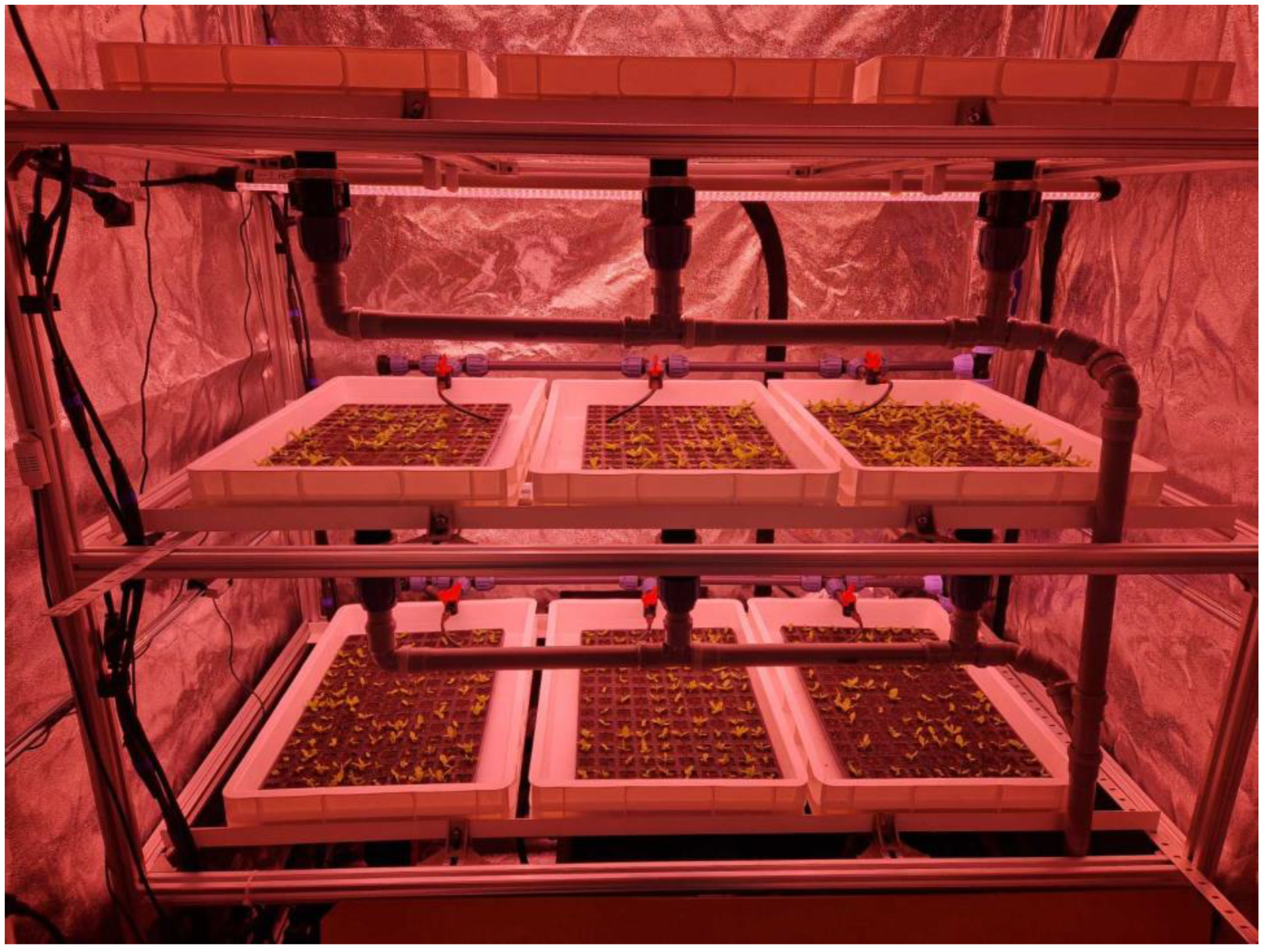 Agriculture 13 01191 g010