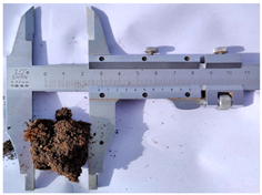 Agriculture 13 01193 i001