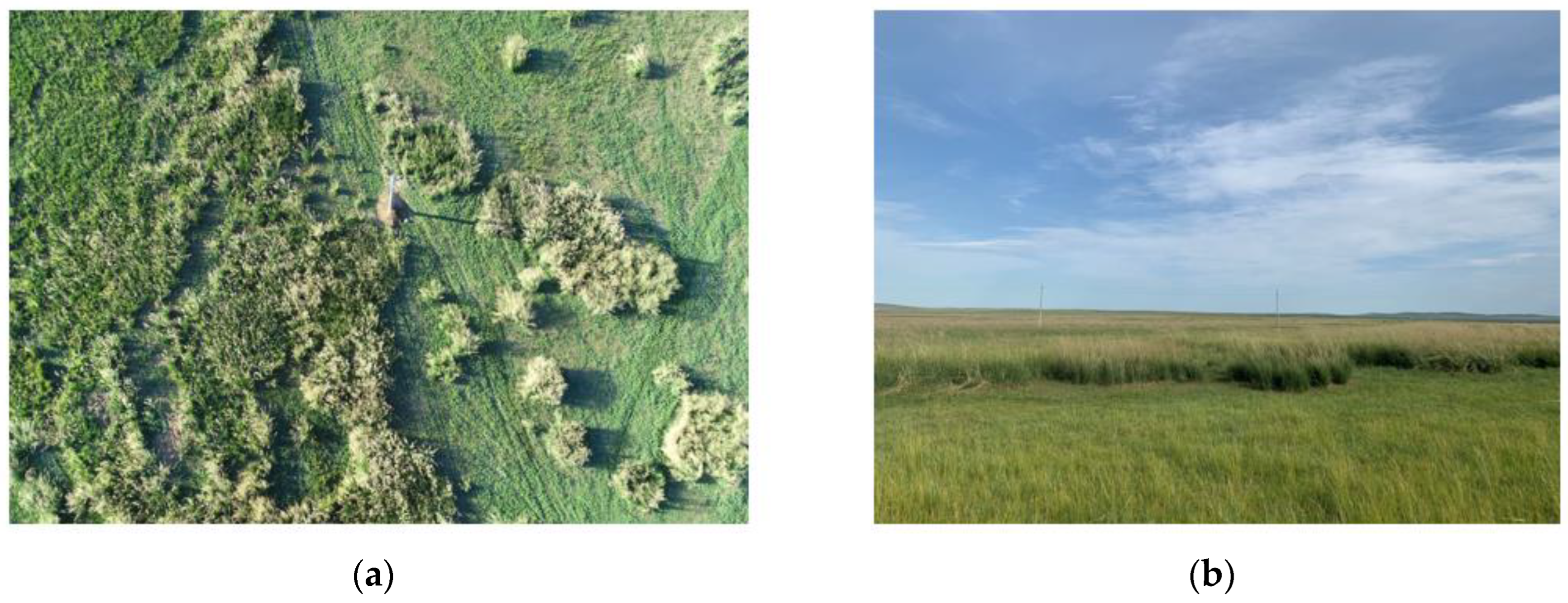 Agriculture 13 01197 g002 Agriculture 13 01197 g002