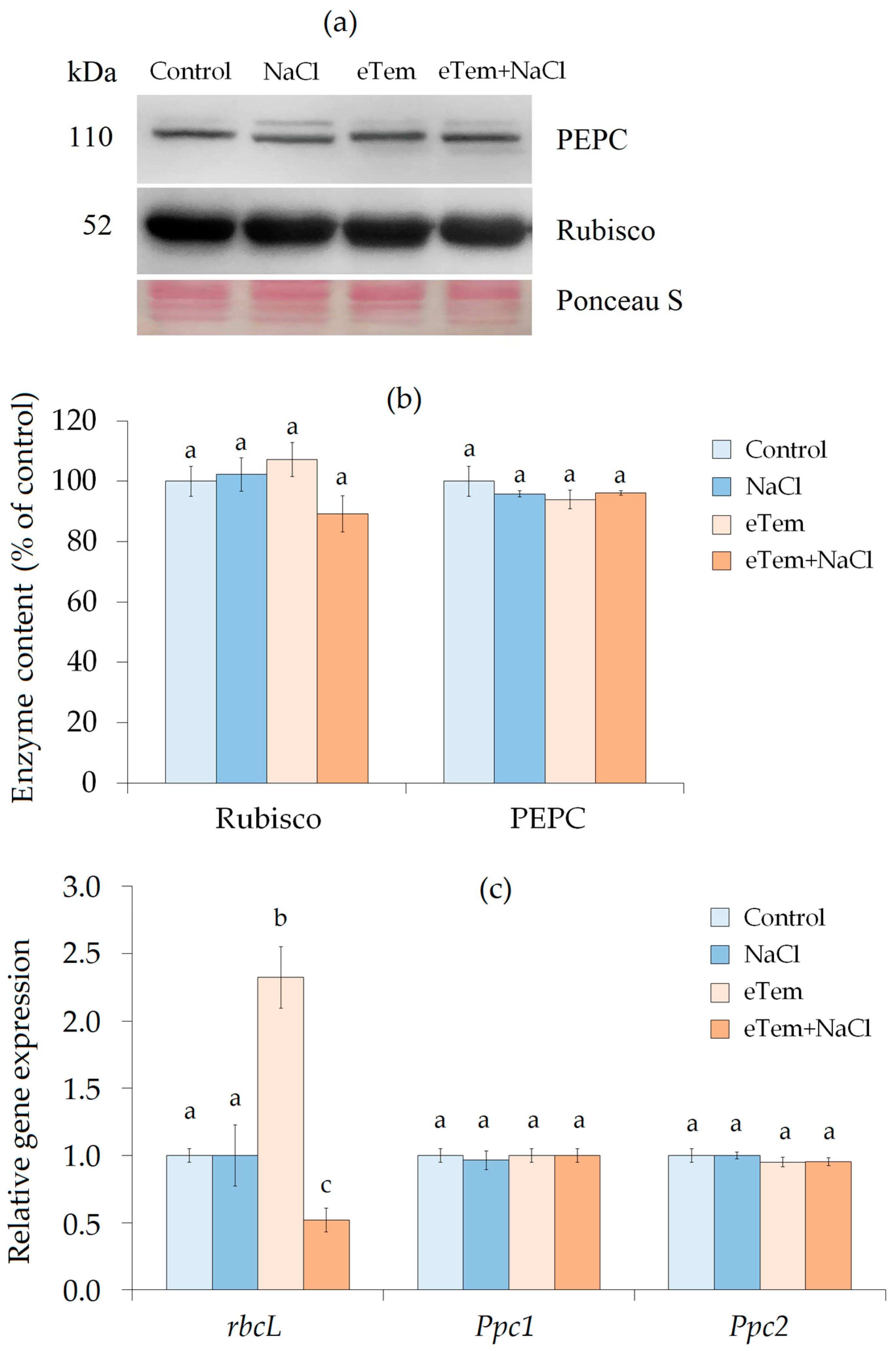 Agriculture 13 01198 g003 Agriculture 13 01198 g003