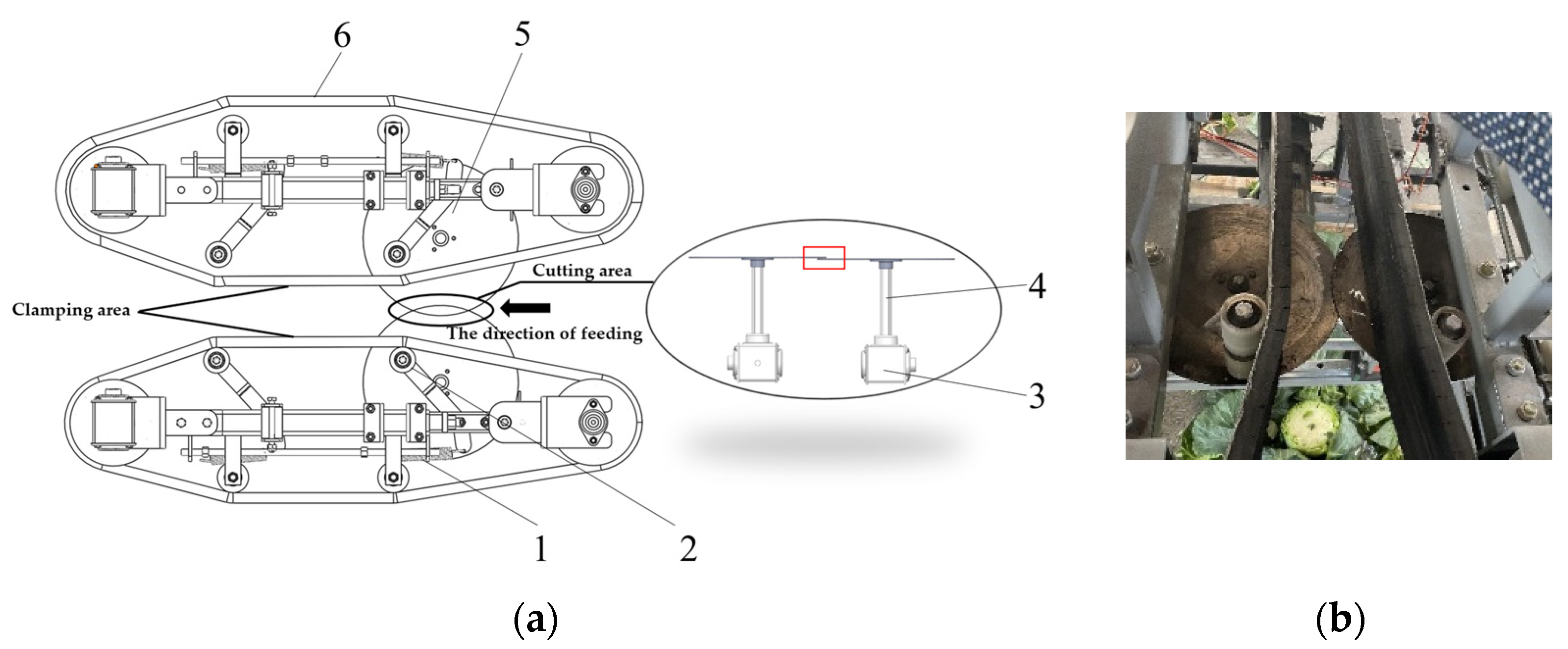 Agriculture 13 01204 g014