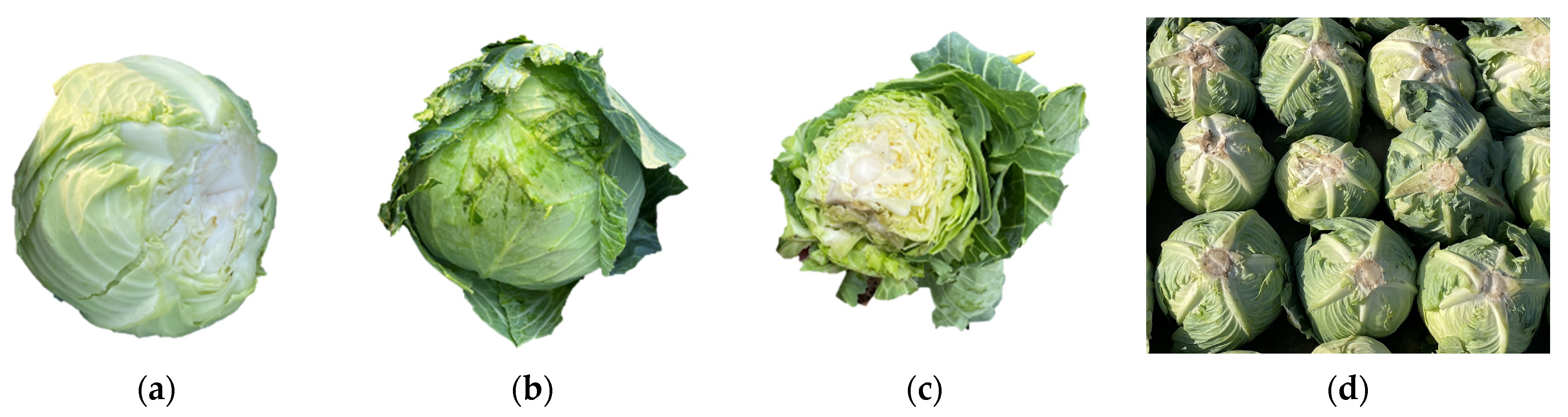 Agriculture 13 01204 g019