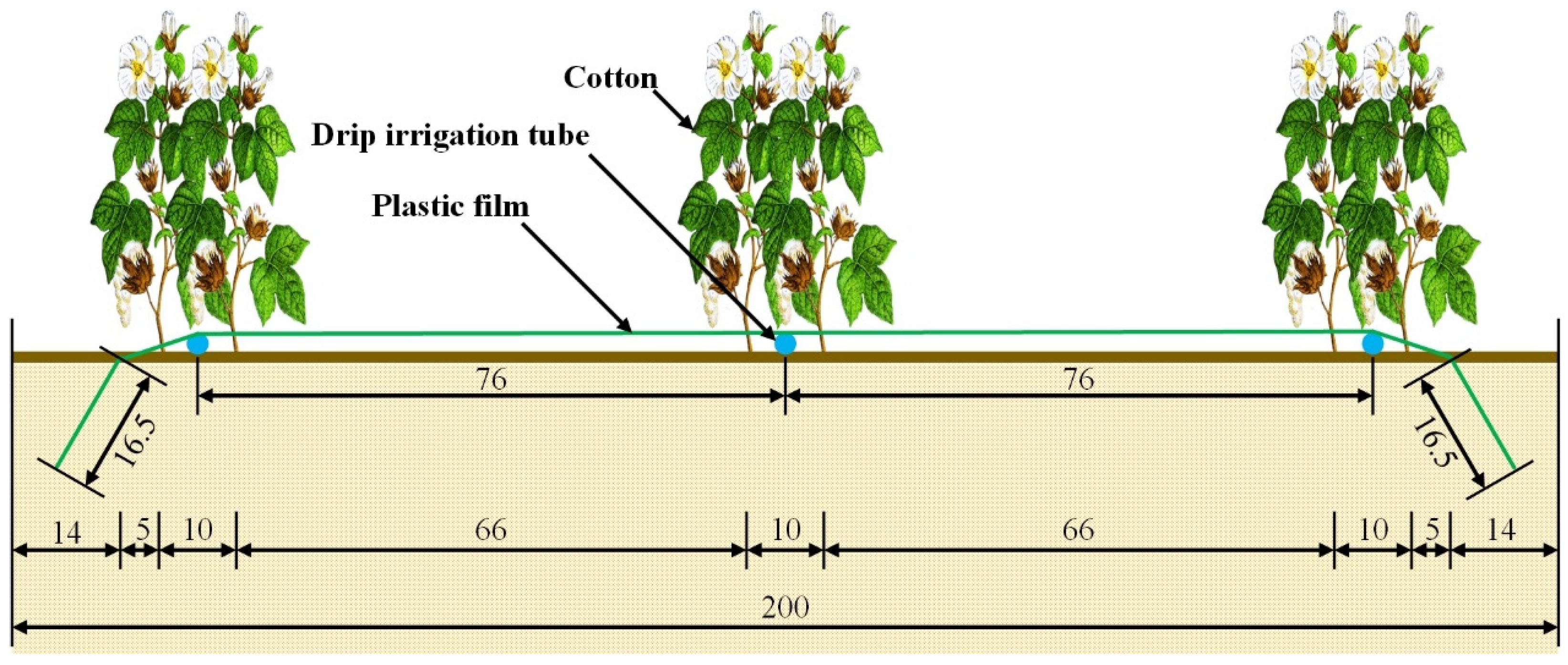 Agriculture 13 01219 g001 Agriculture 13 01219 g001