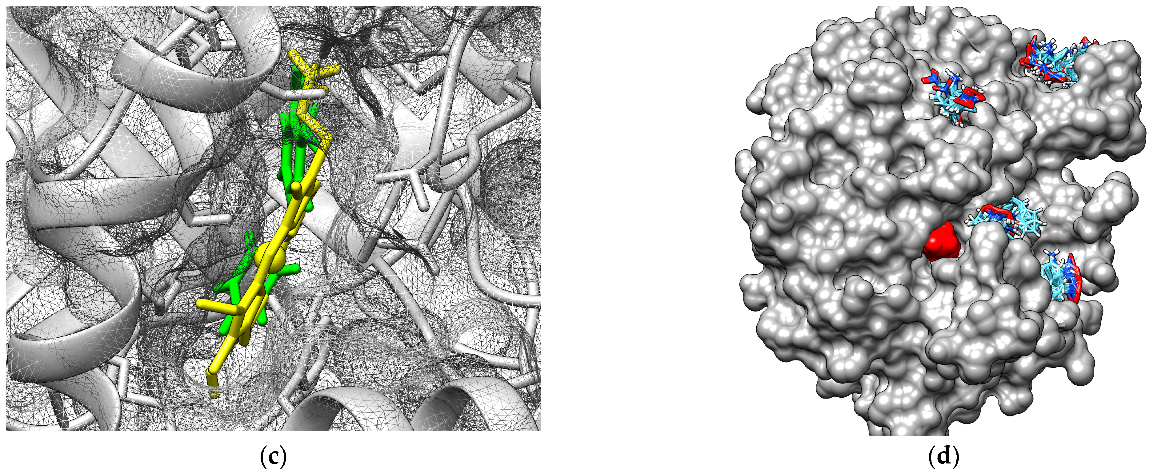 Agriculture 13 01226 g004b