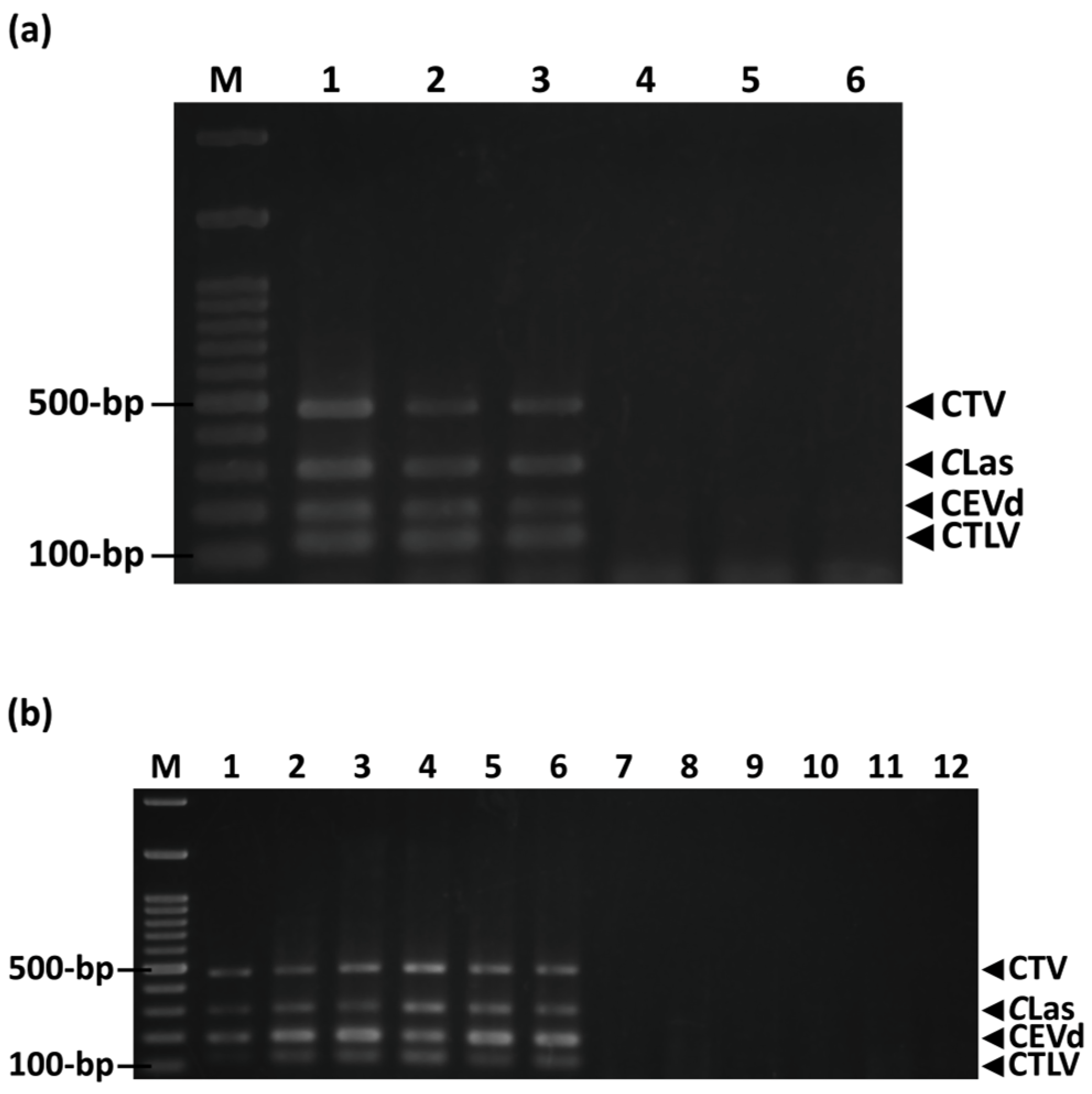 Agriculture 13 01227 g003