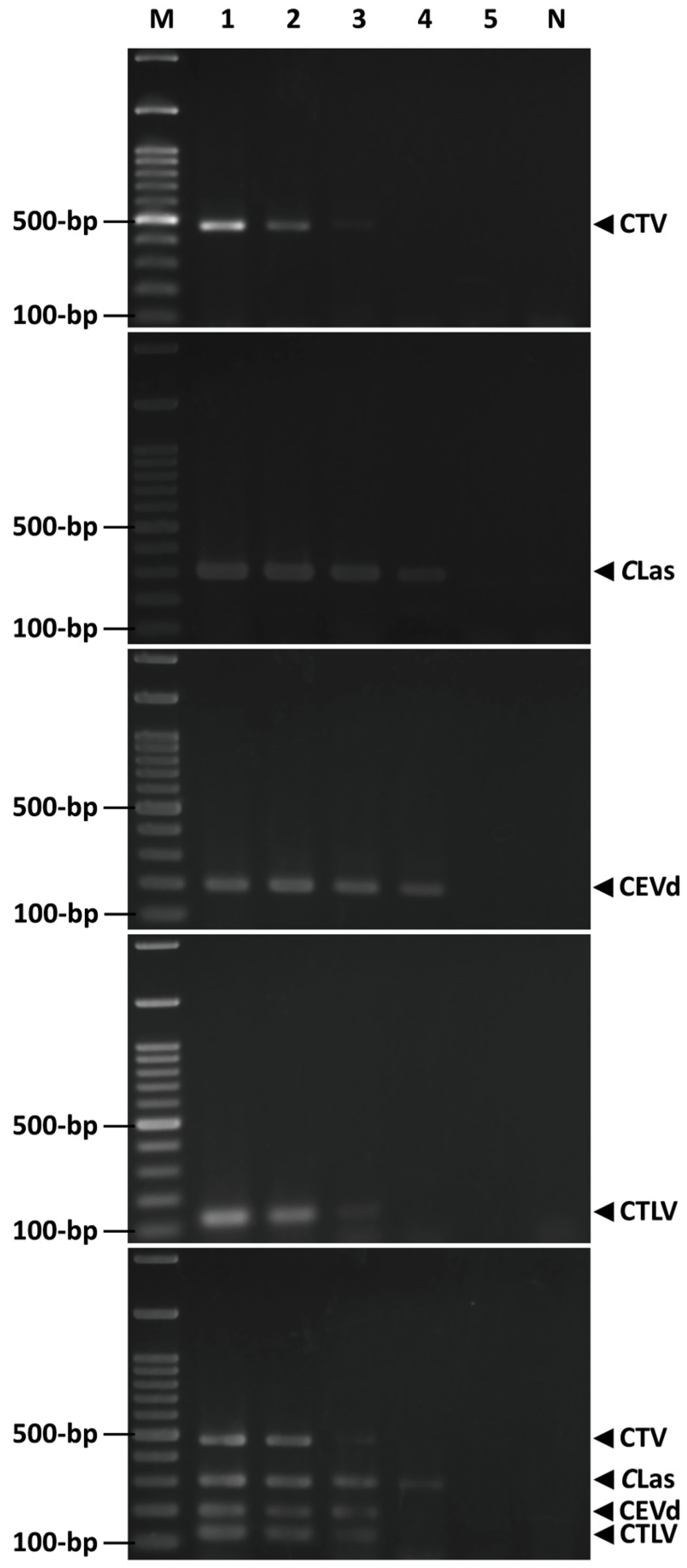 Agriculture 13 01227 g005
