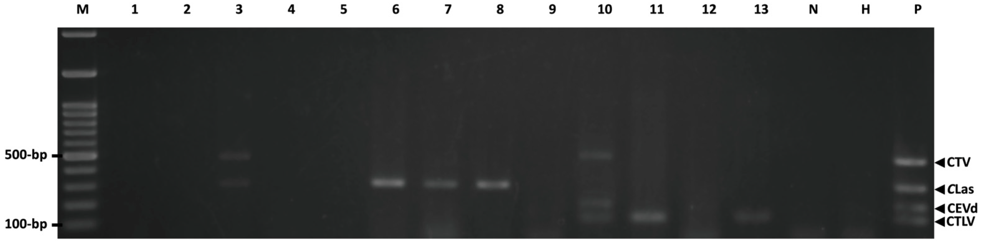 Agriculture 13 01227 g006