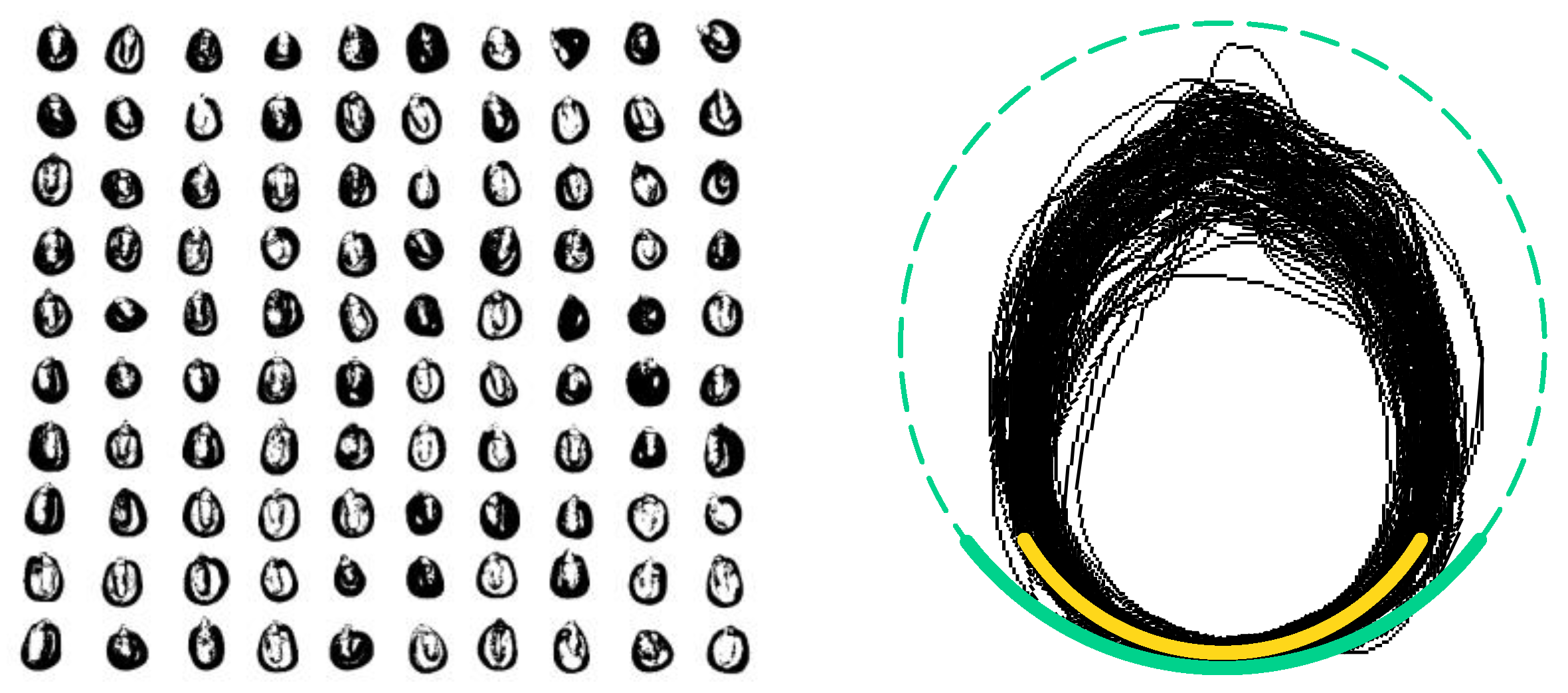 Agriculture 13 01232 g005 Agriculture 13 01232 g005