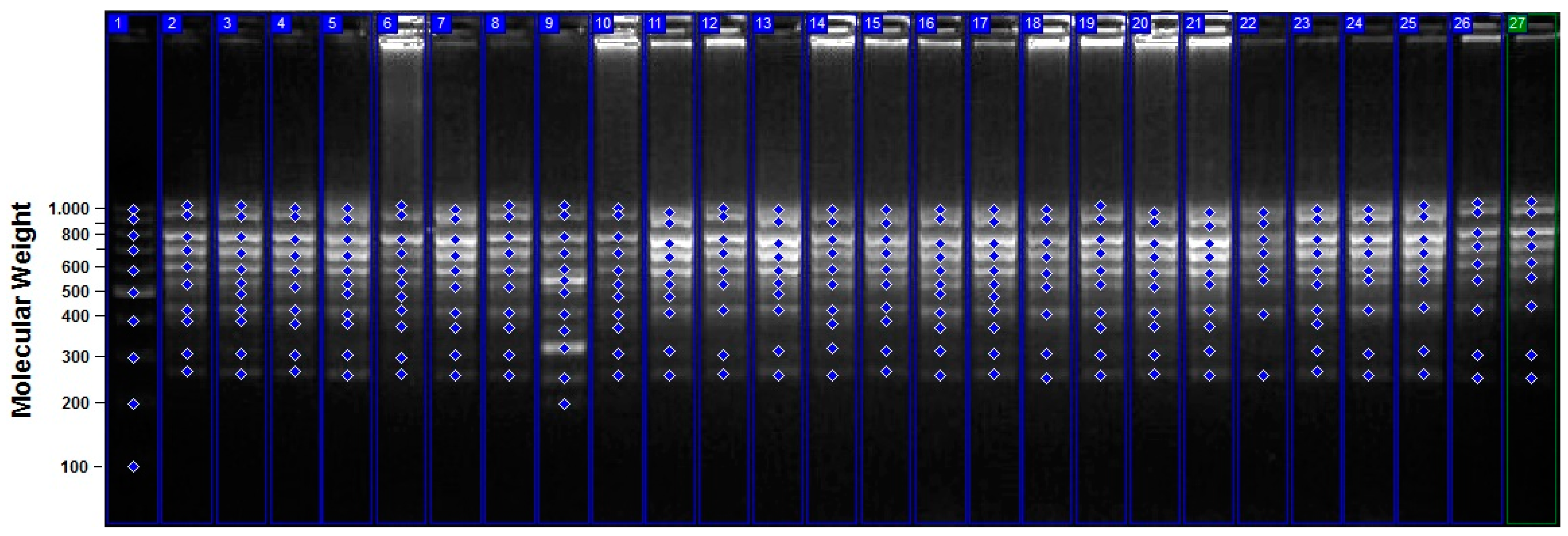 Agriculture 13 01242 g004