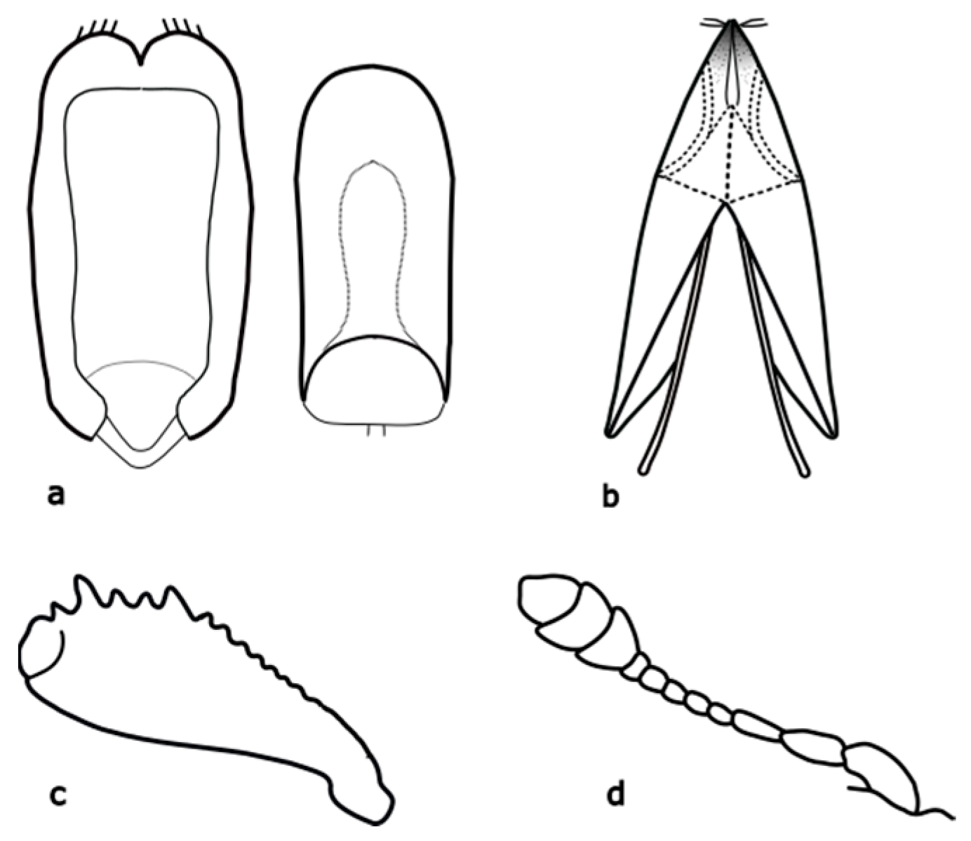 Agriculture 13 01243 g0a14