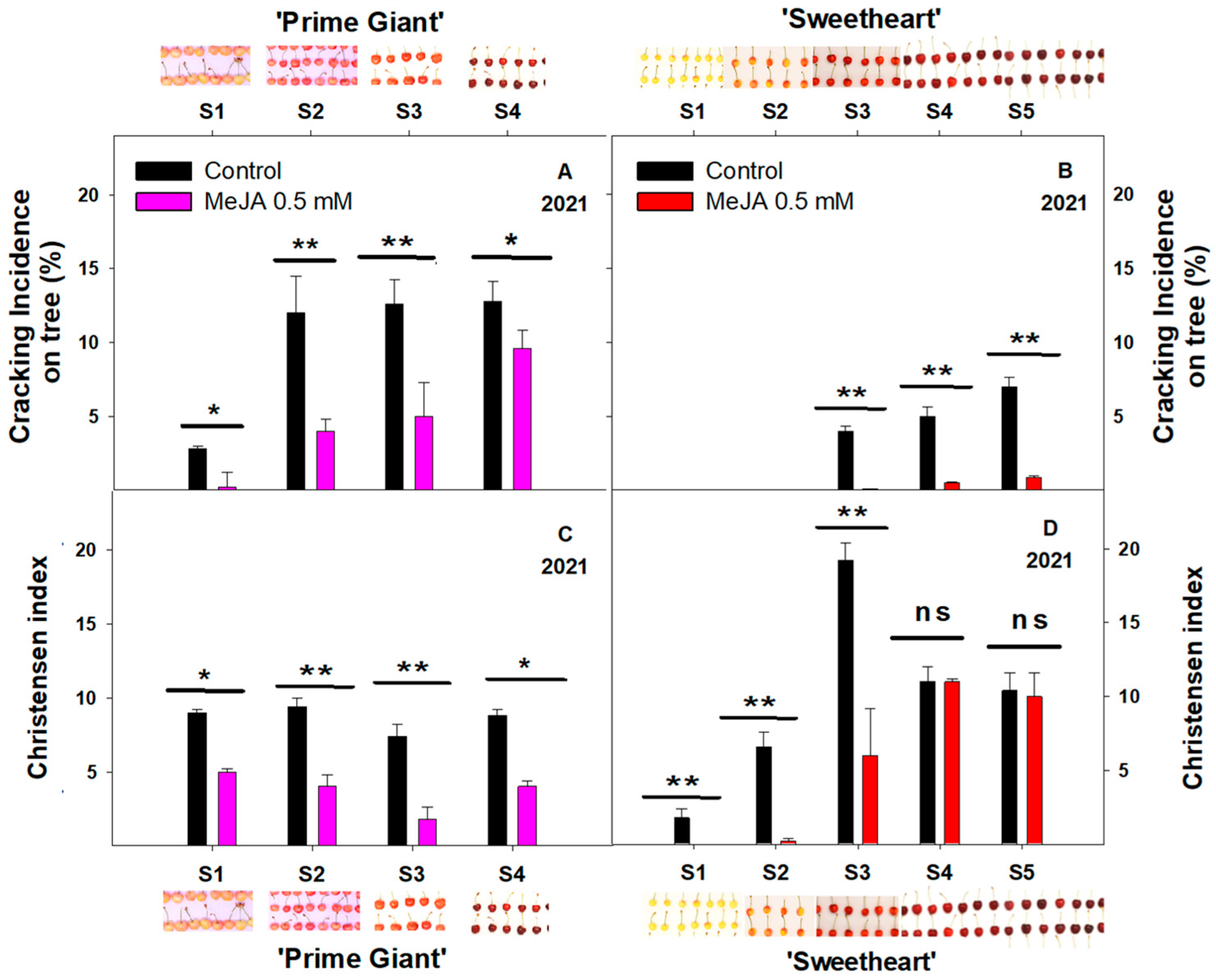 Agriculture 13 01244 g002